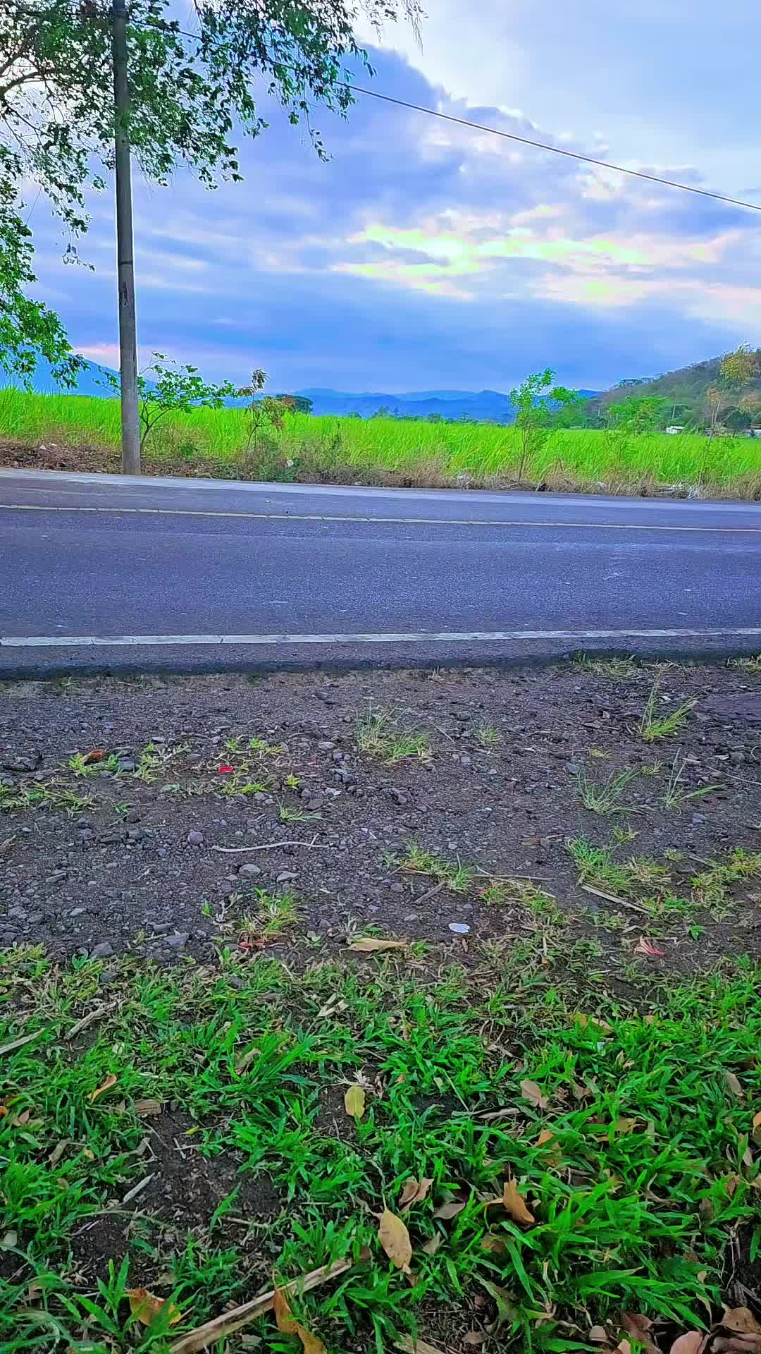 @alex💯 🧃la rojita❤️🔥🇸🇻