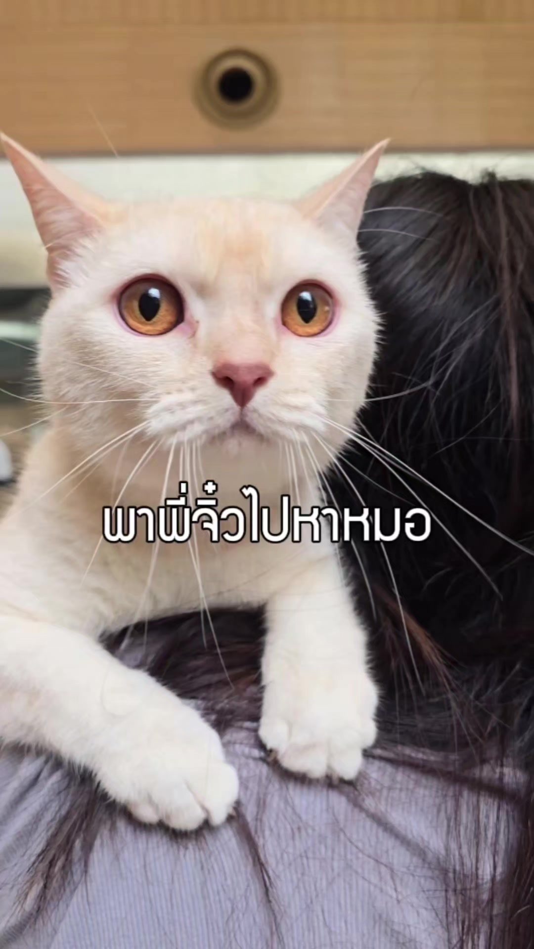 @เดี๋ยวไข่นุ้ยเล่าให้ฟัง..🤫