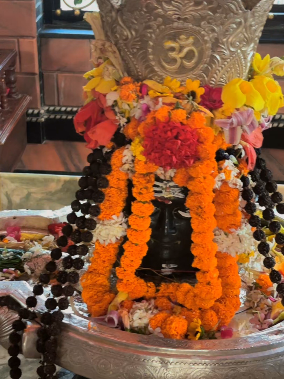 @Sonali swarnakar❤️🧿