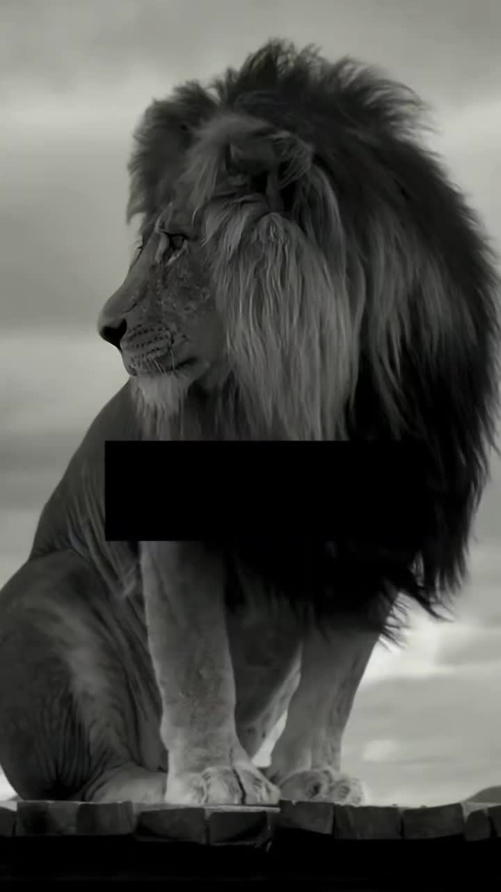 @Sነኝሀለበዉት