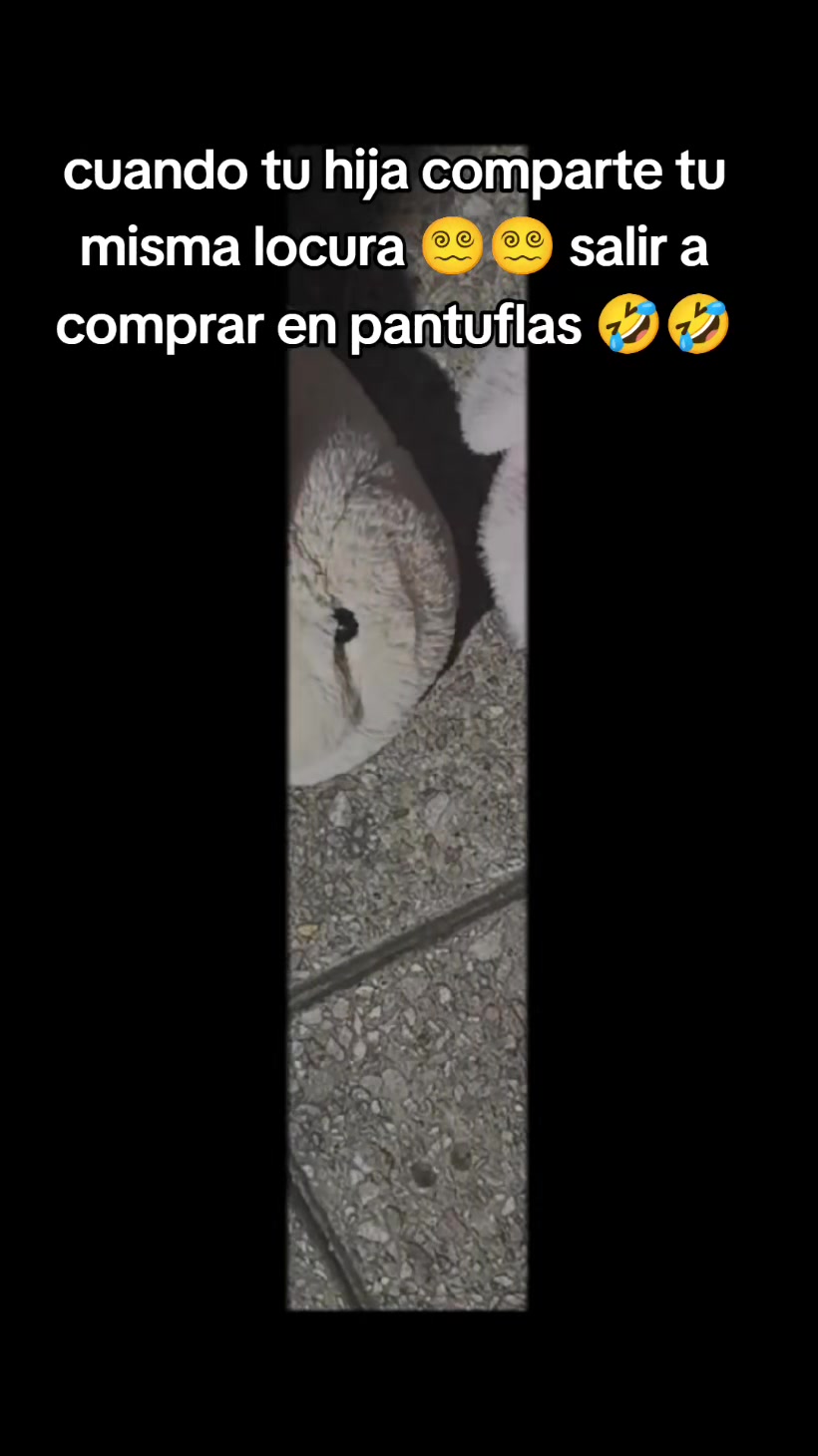 @Karina Sanabria