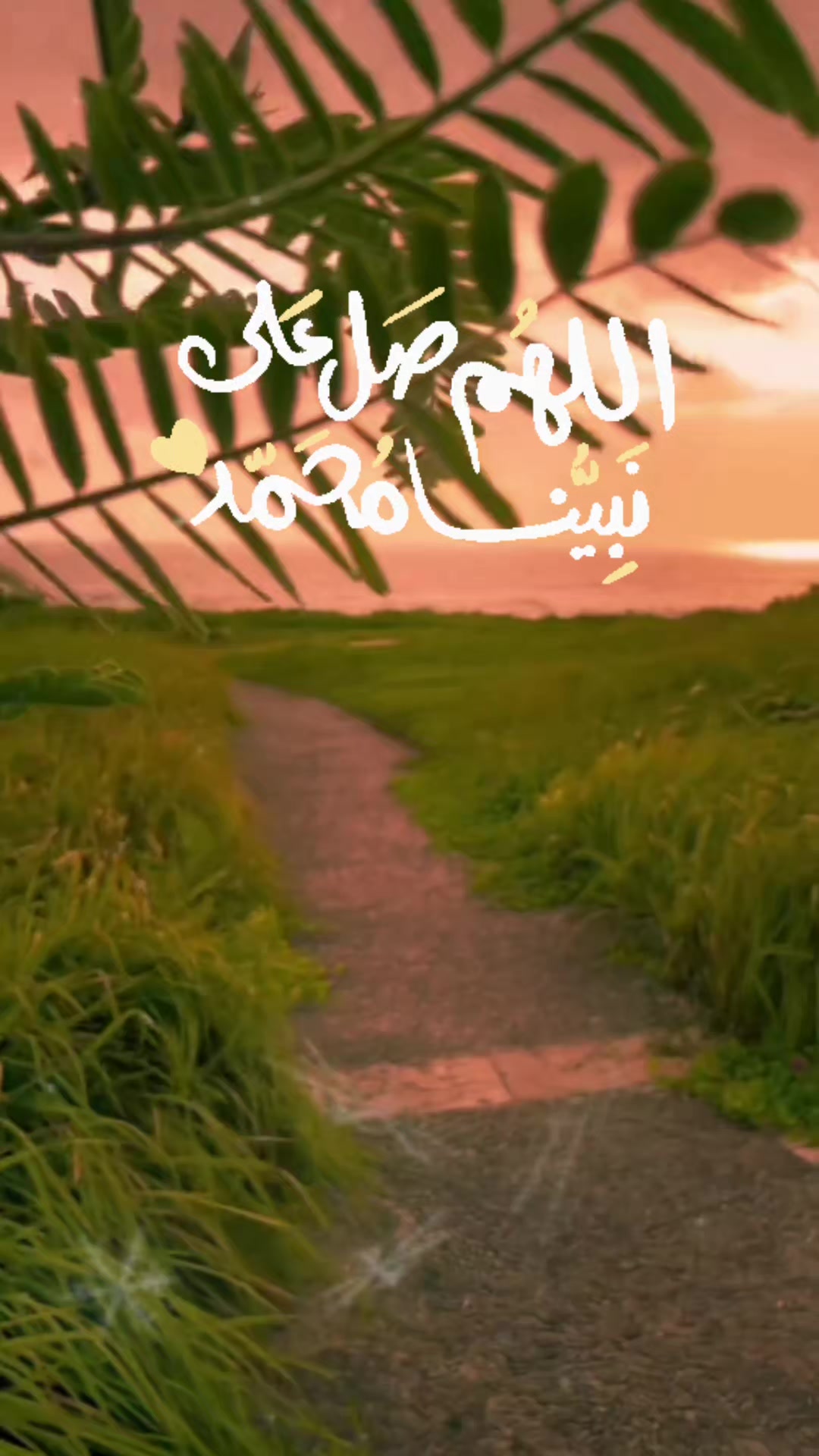 @Muhammad Hafeez