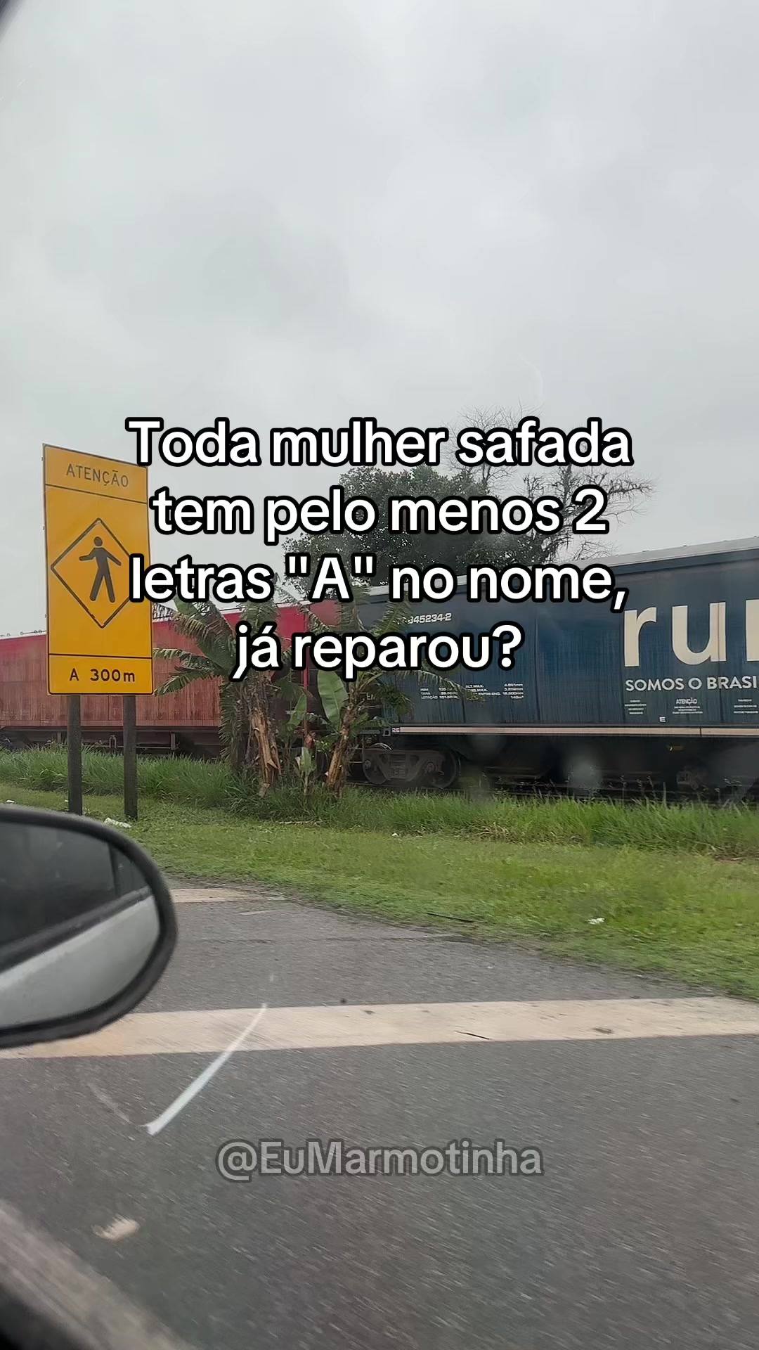 @Antonio | Marmotinha Gritando