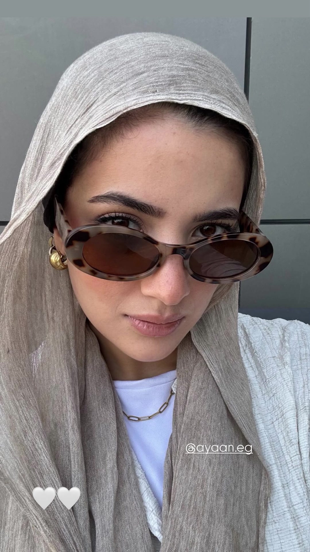 @Ayaan.eg