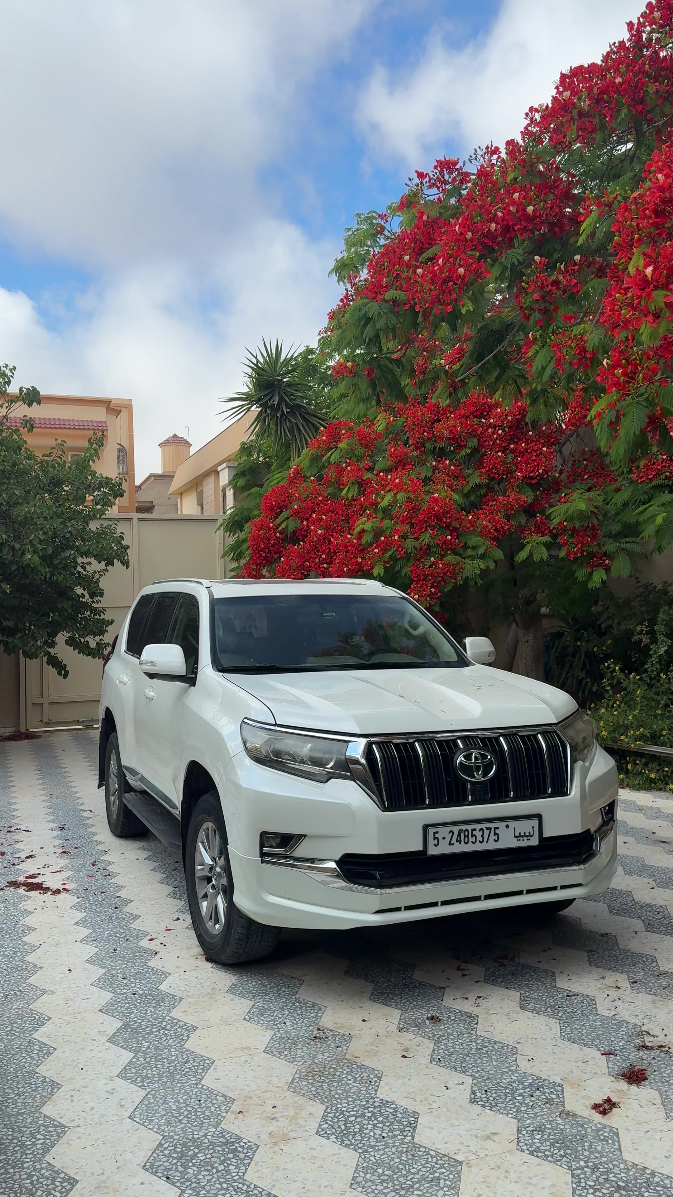 @عبدالرحمن ❤️&zwj;🔥