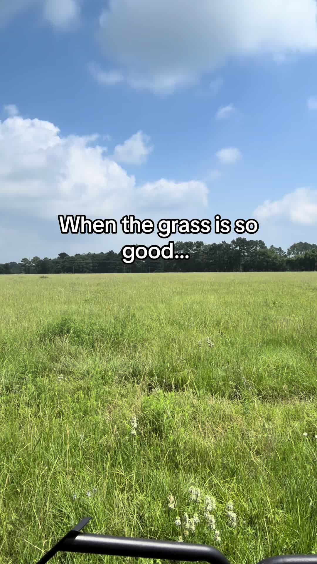 @Greenwood Stock Farms
