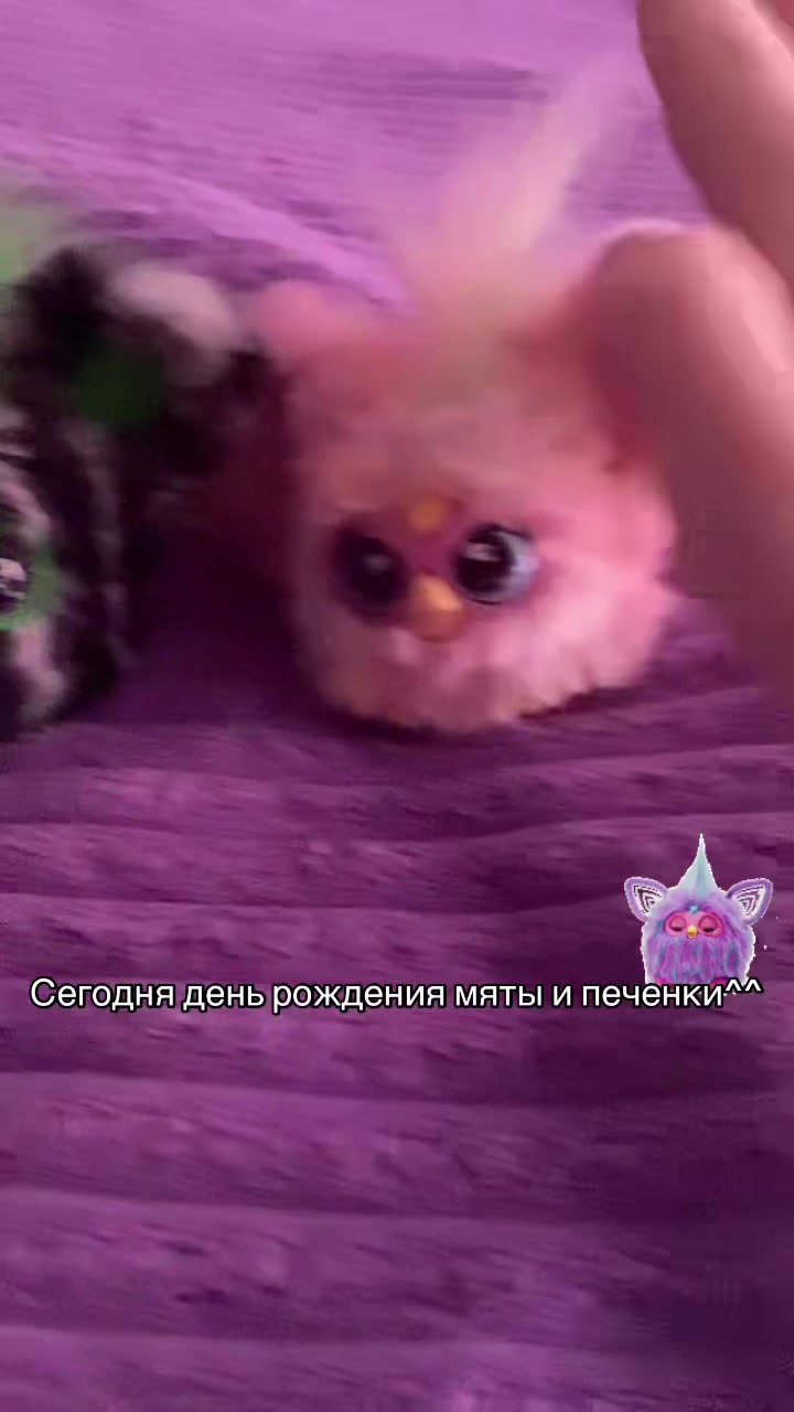 @^^🍥🍵Furby^^B0uNtY 。゚(゚´ω`゚)゚