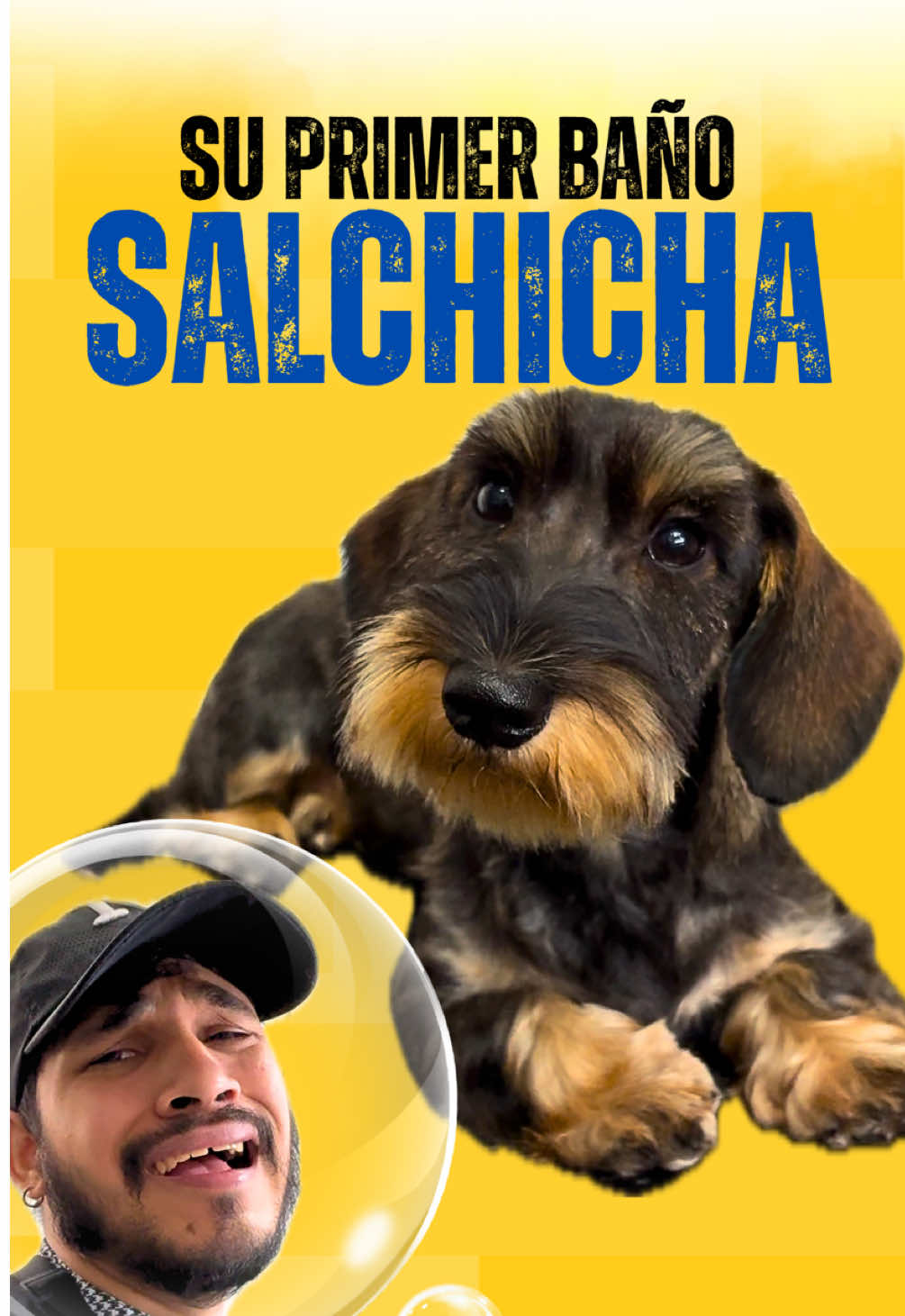 @Victor The Groomer