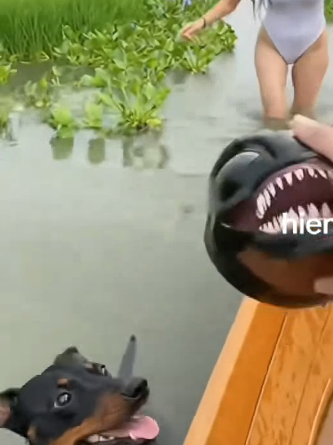 @Meanwhile in China