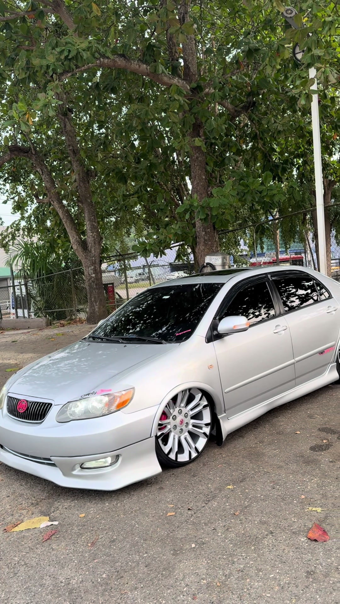 @J.Cachete🦍🪼