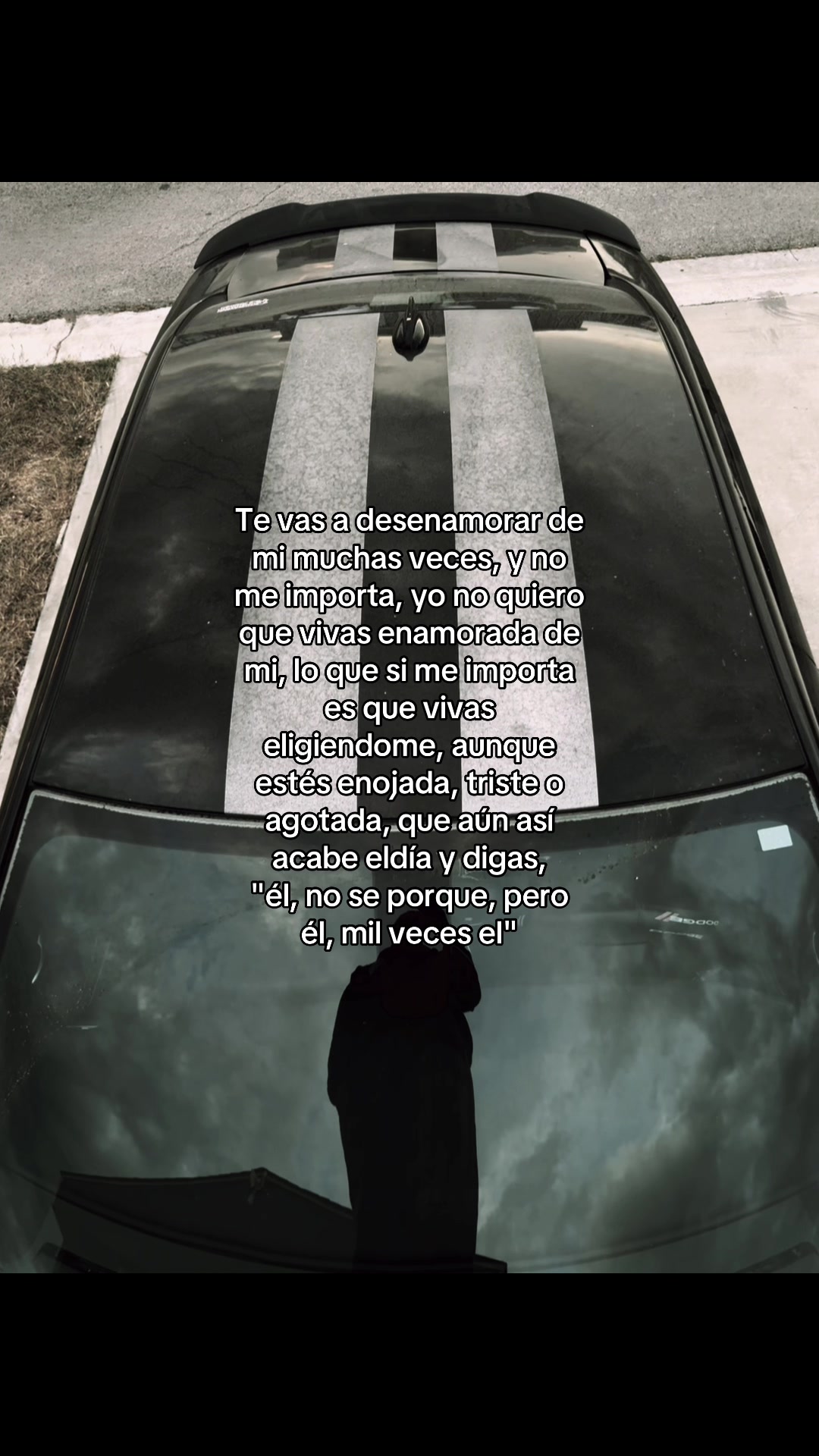 @oscar_sxt