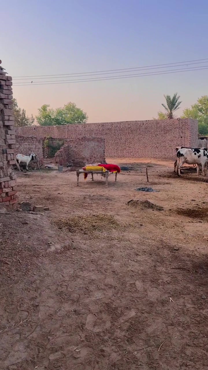 @سوہنا پنجاب🌾🫀
