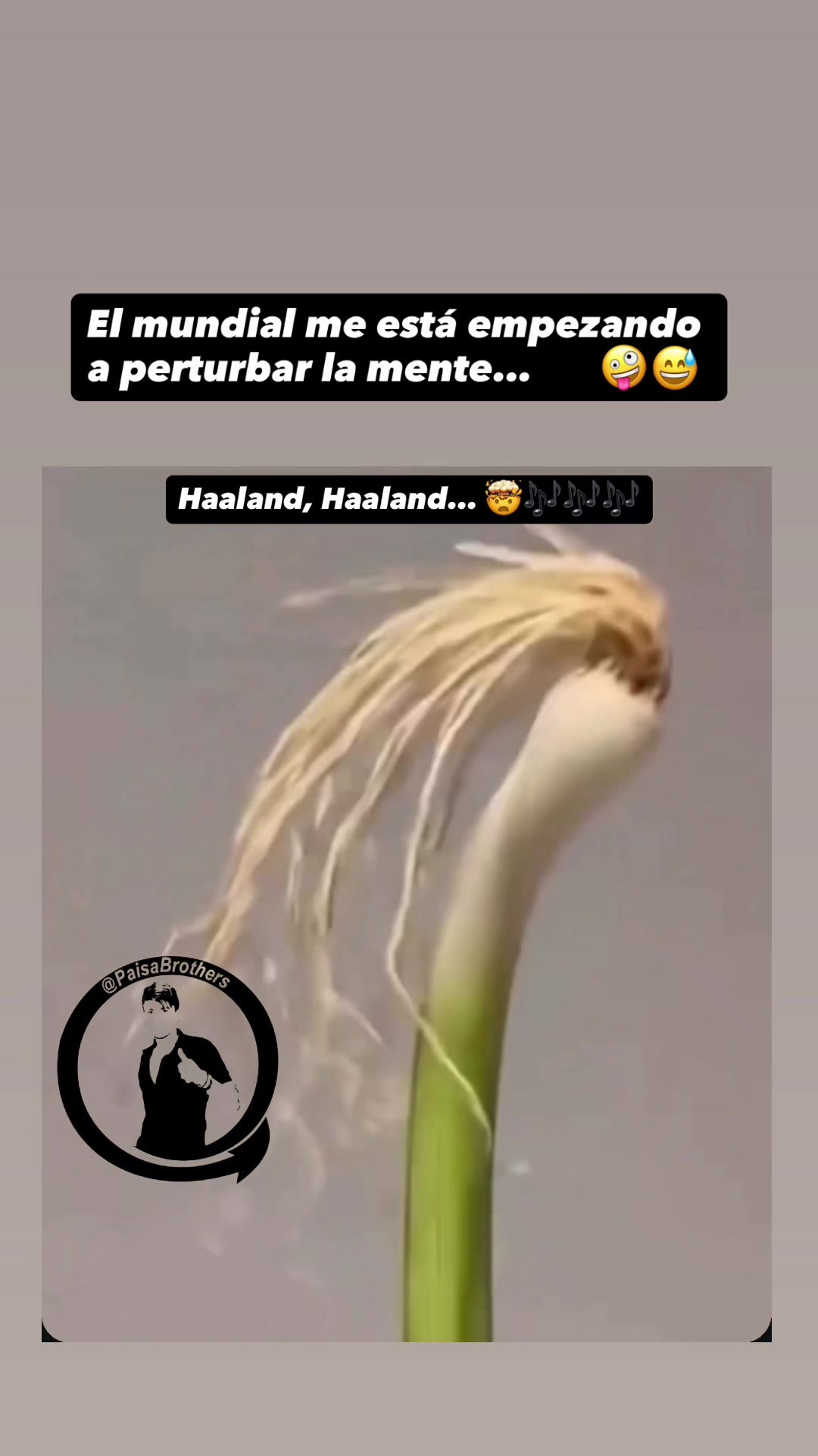 @PaisaBrothers