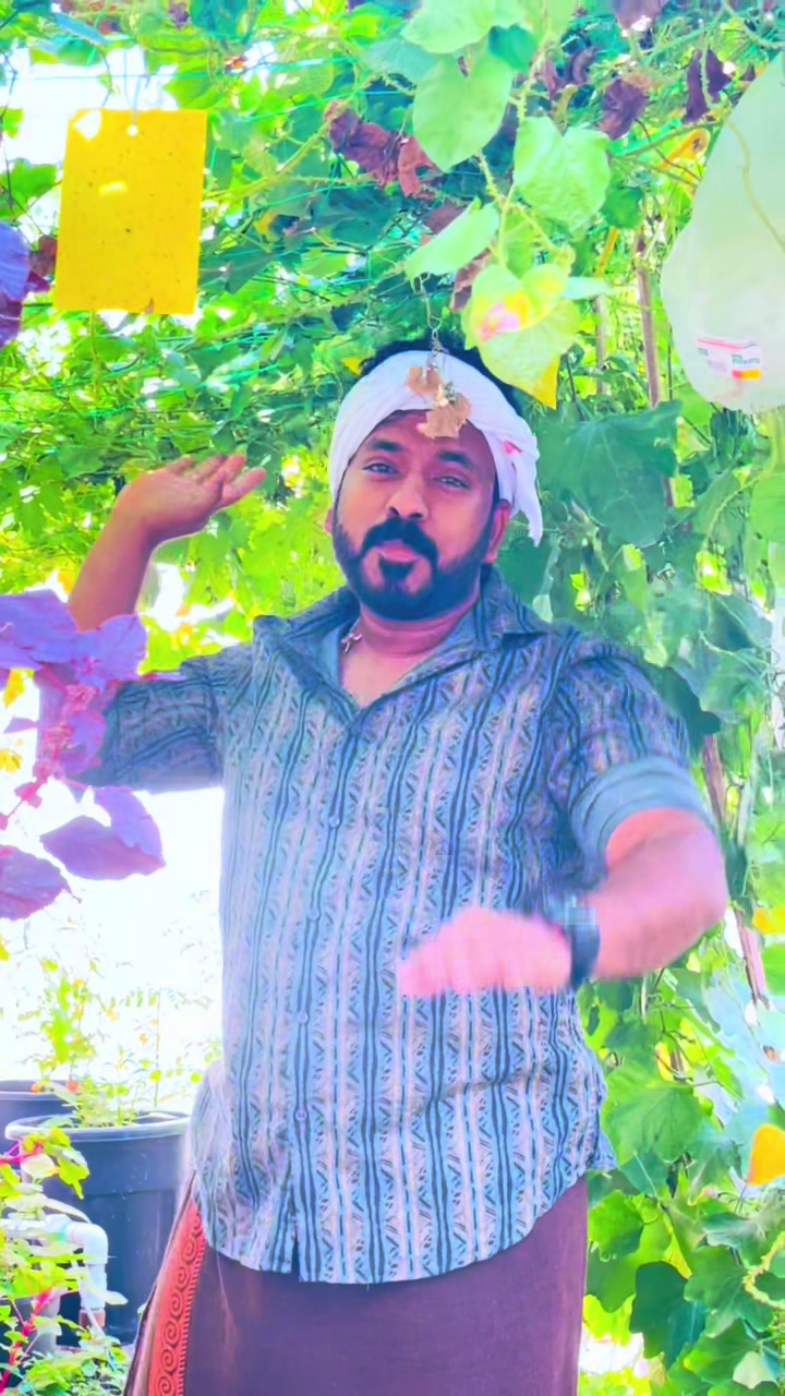 @Bibin Babu