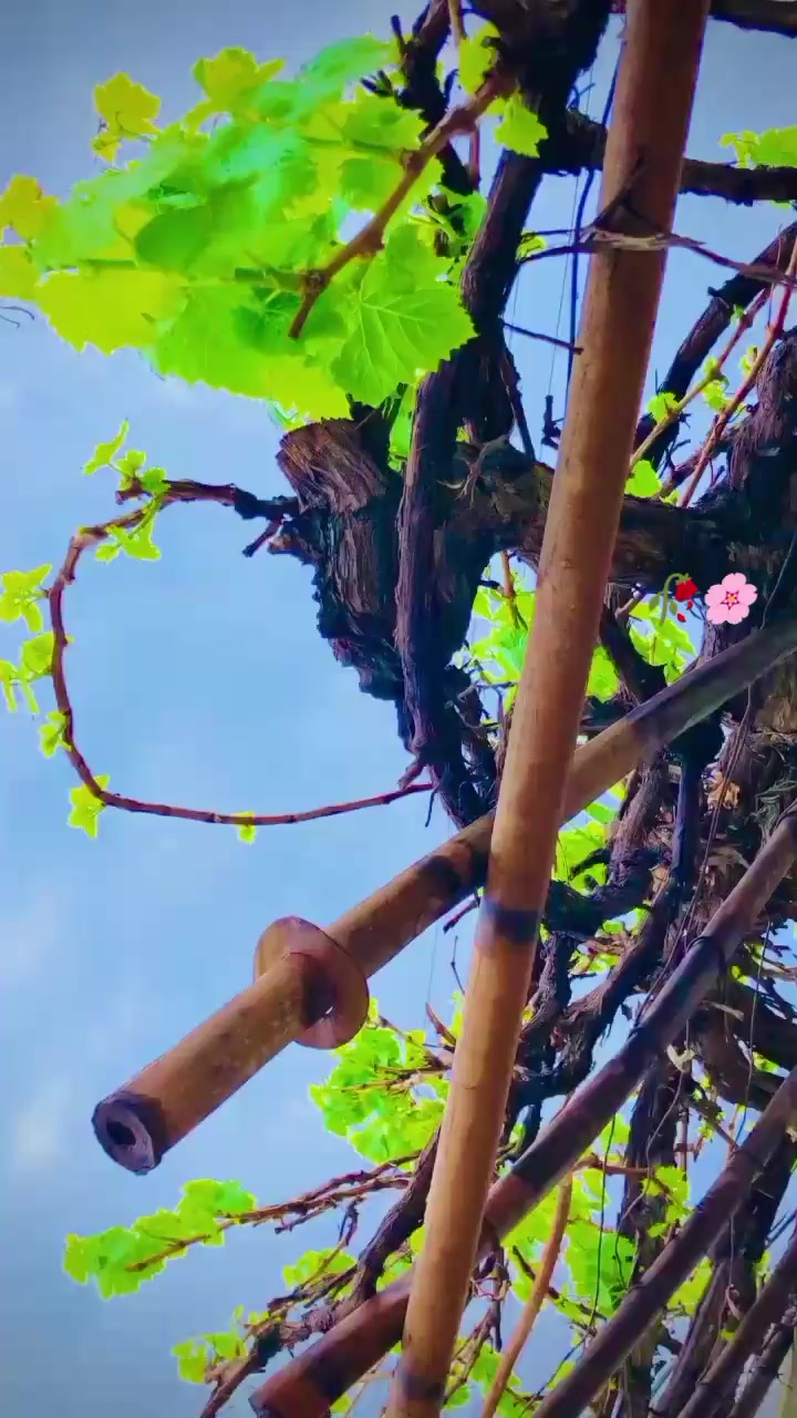 @DurraniBaBa6000 🧿😎BaBa😎🧿