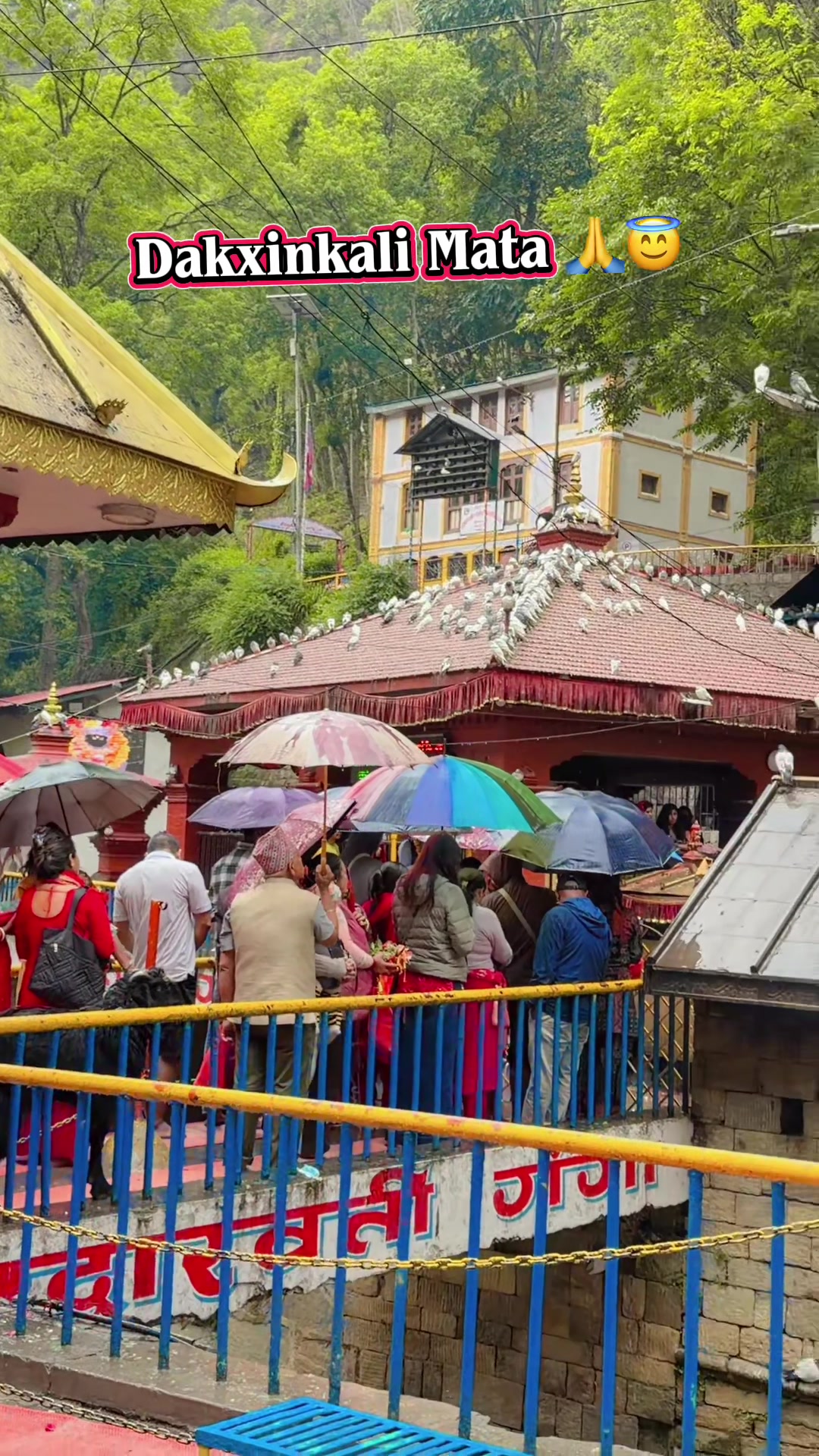 @Srijana Budhathoki ᥫᩣ