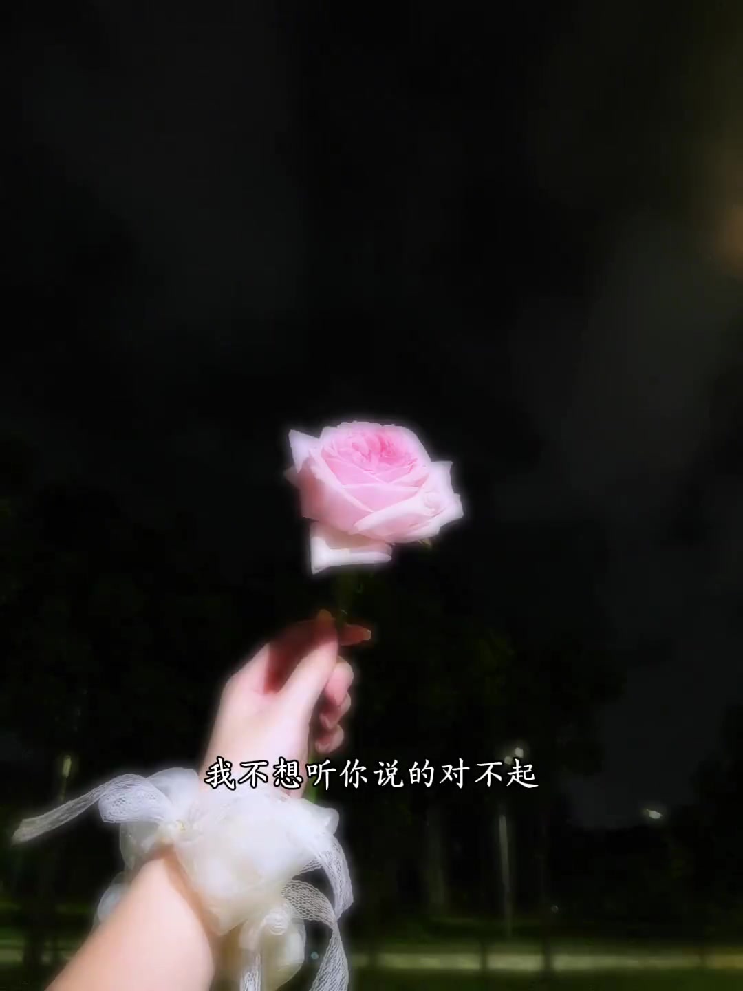 @ᰔᩚ᭄ℛ心已打烊꧔ꦿᩚ࿐🕊