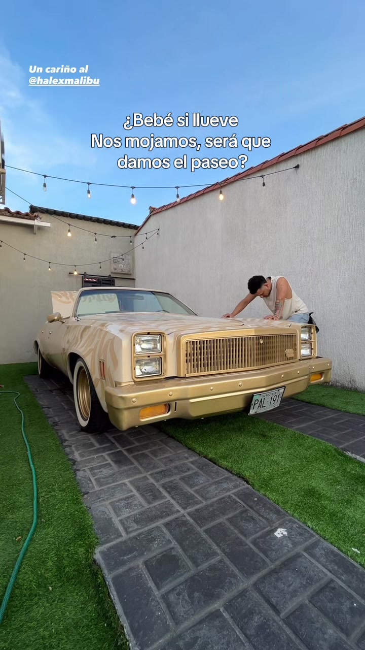 @Halex