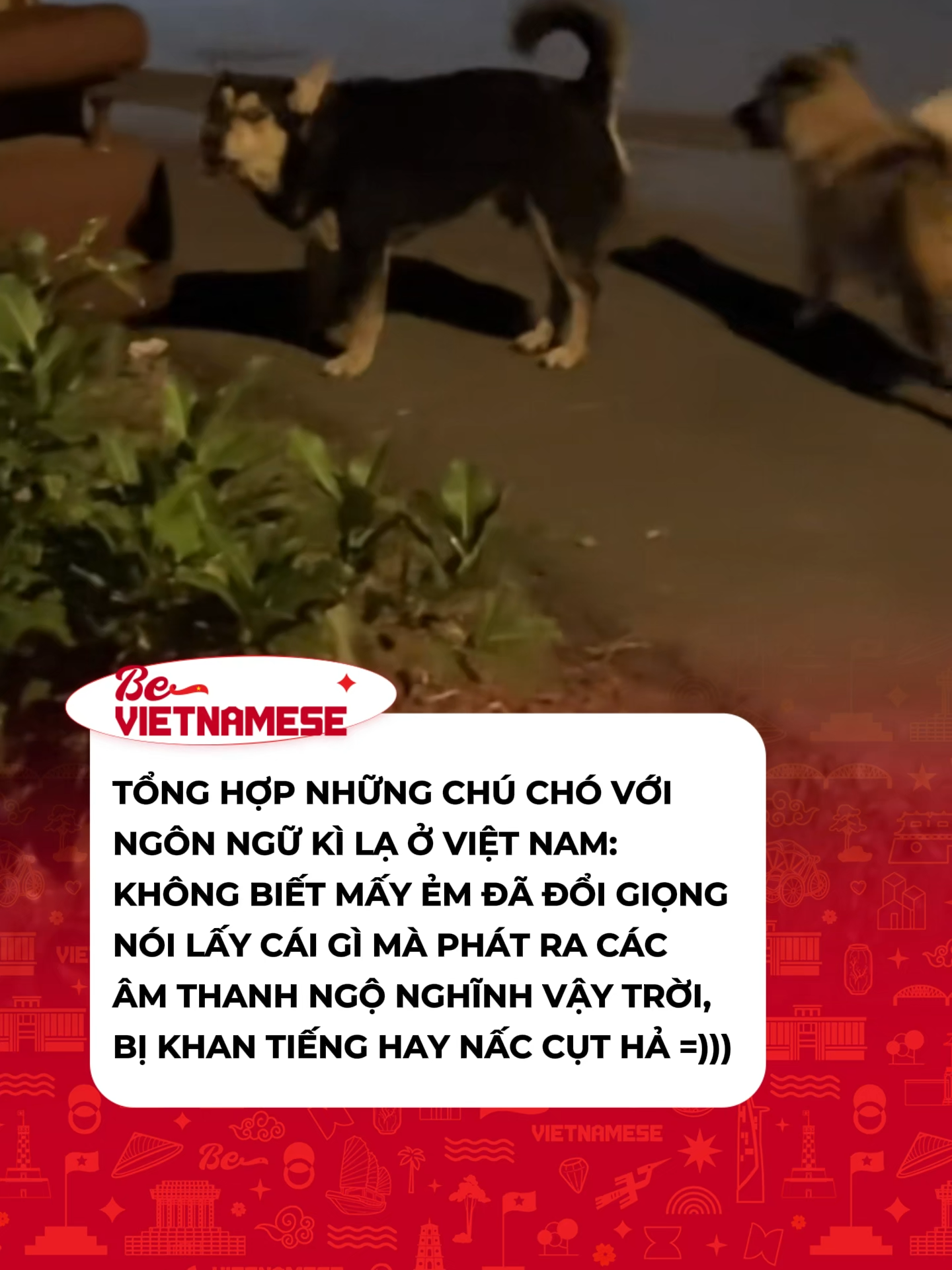 @Be Vietnamese