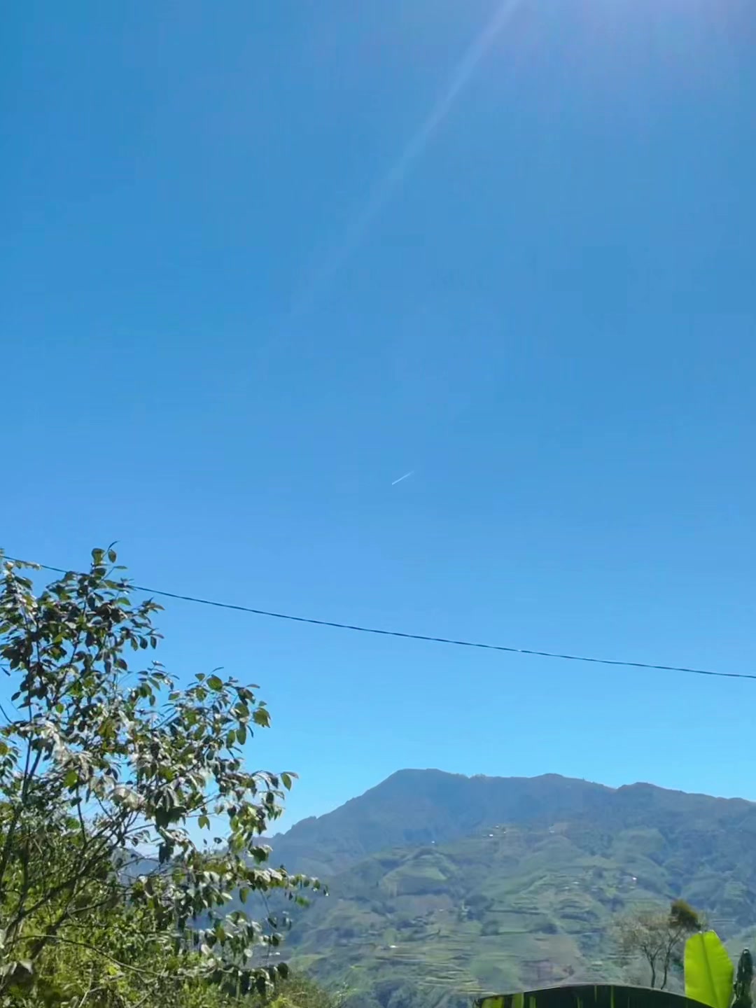 @LÍU 🇻🇳☣️
