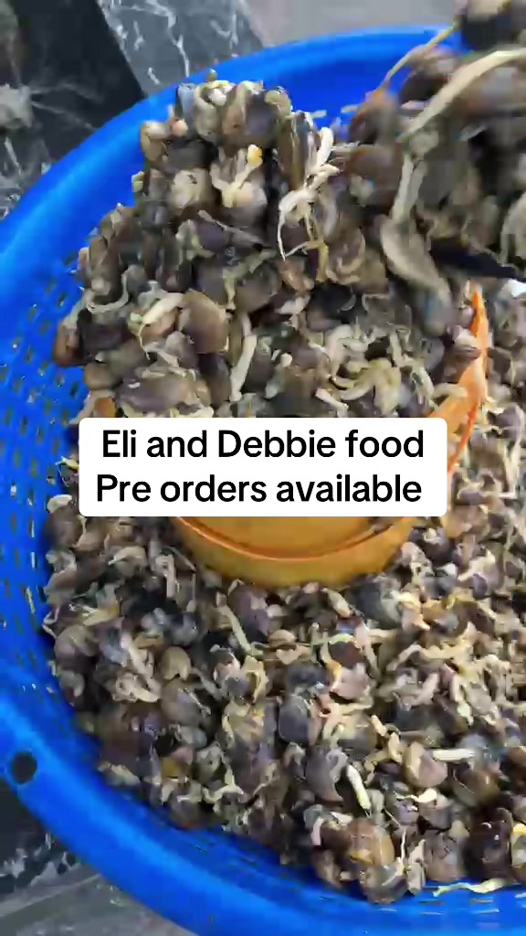 @Ellie and Debbie Palm Oil