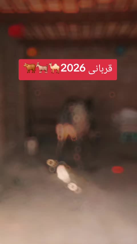 @MIRZA✔️🫣