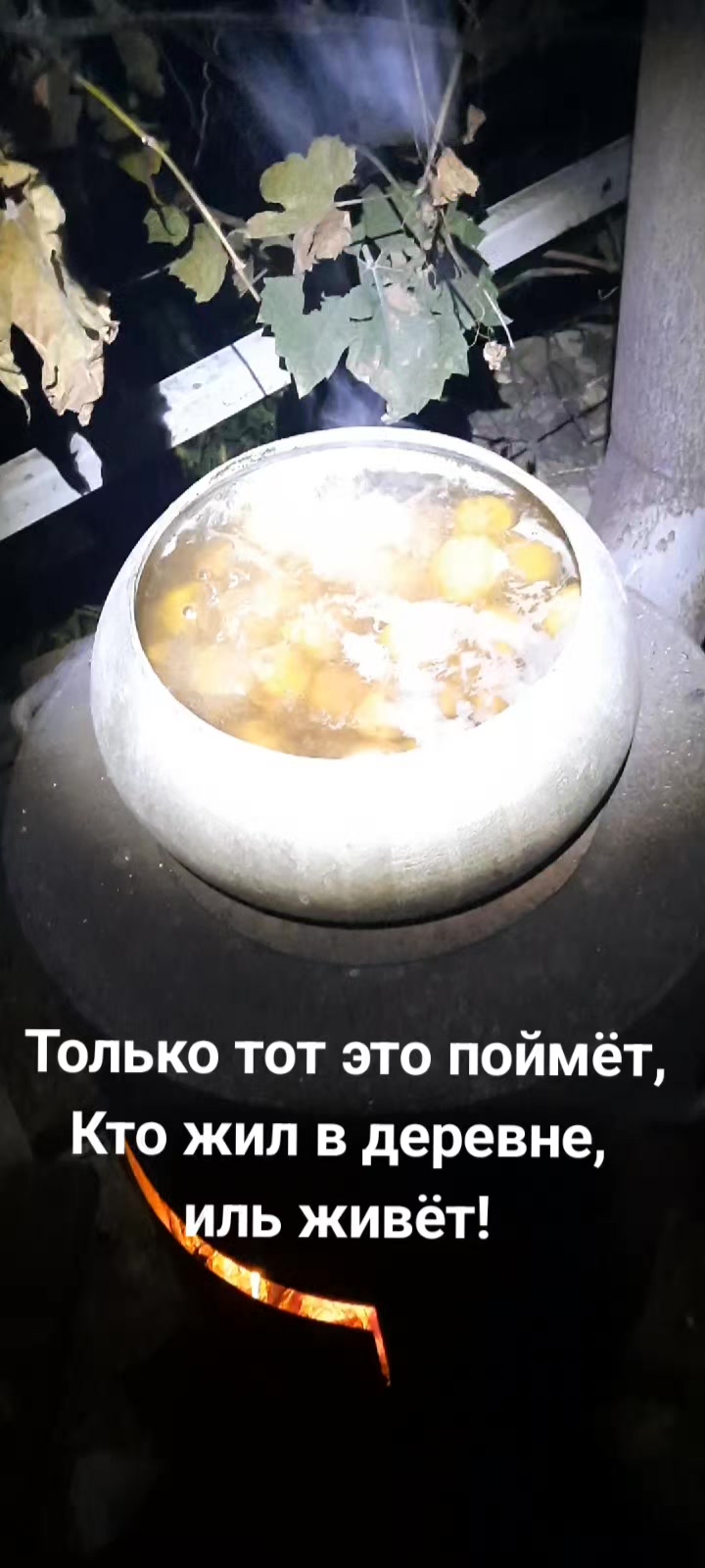@anekdoti_ot_Petrovicha