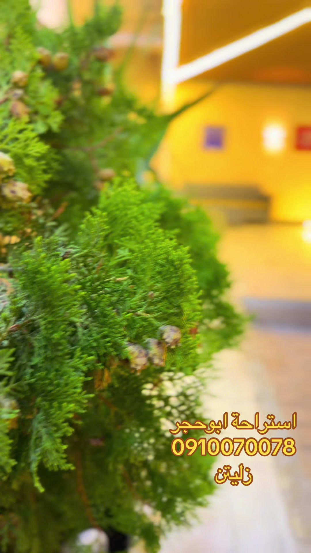 @استراحة ابوحجر