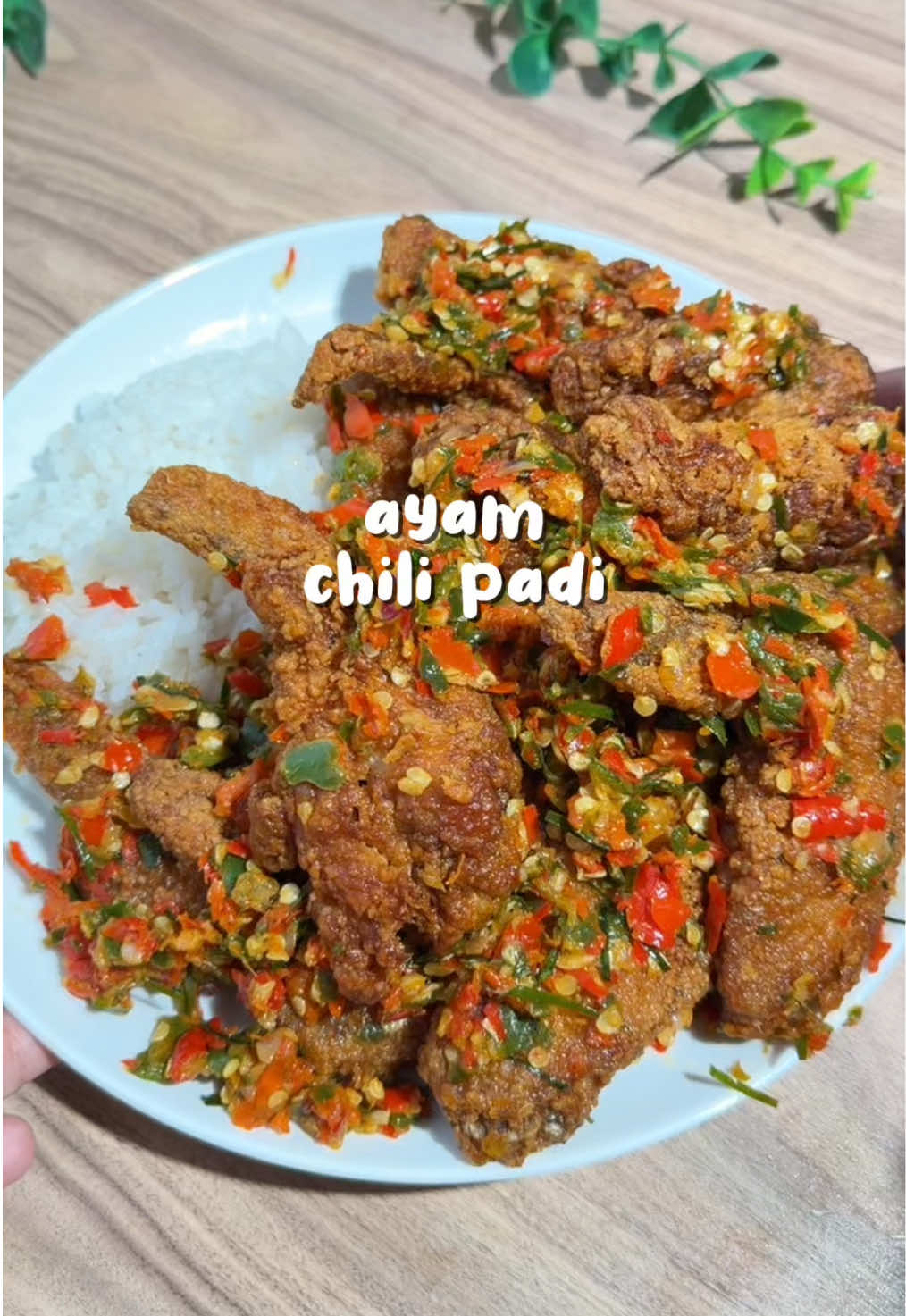 @Hami hamidah
