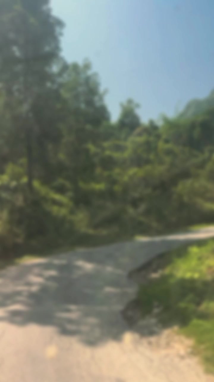 @≛⃝🐼┈━═☆❣️S❣️☆═━┈K┈━═☆❣️┈▶≛⃝🐼