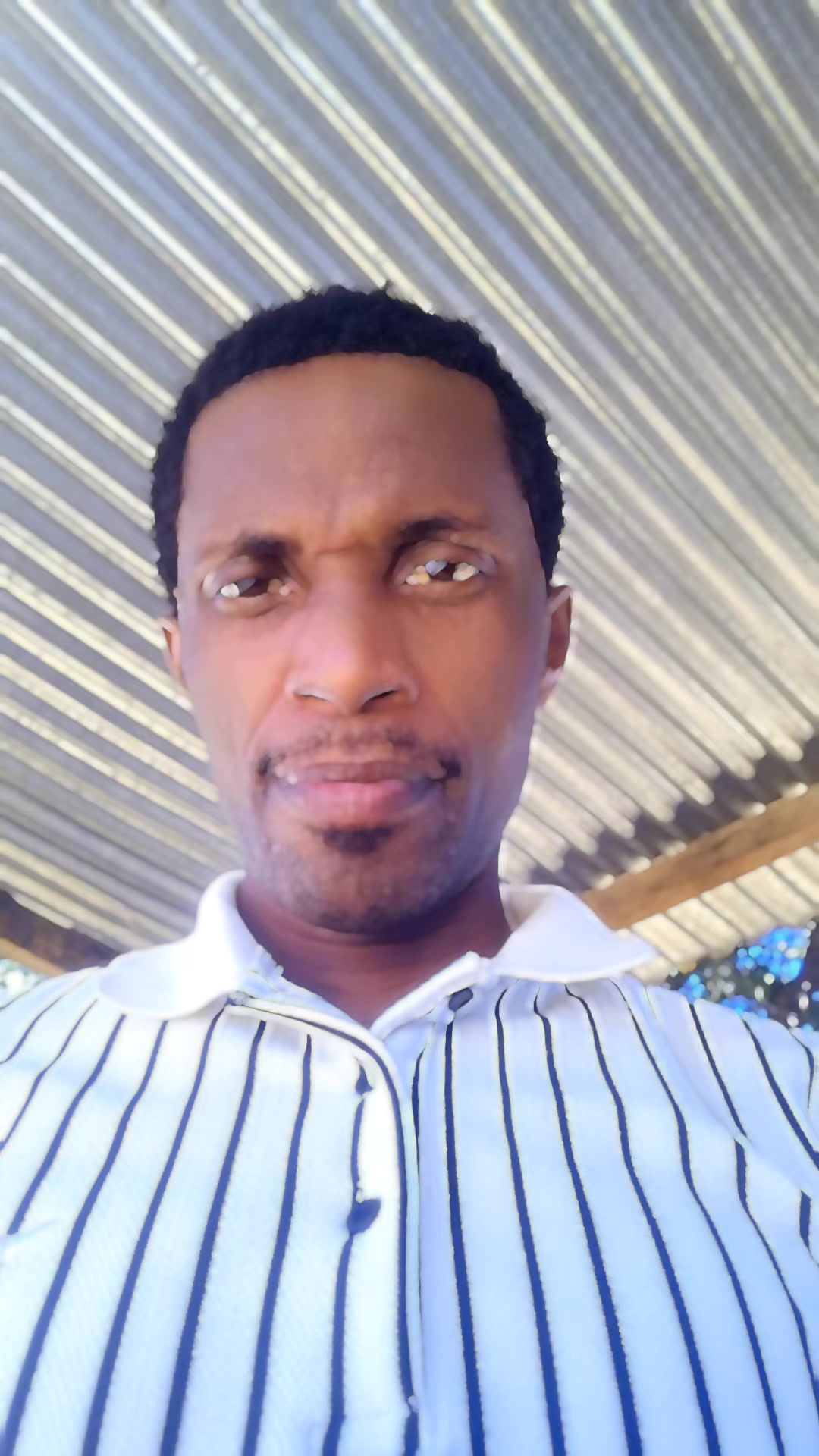 @prophet David