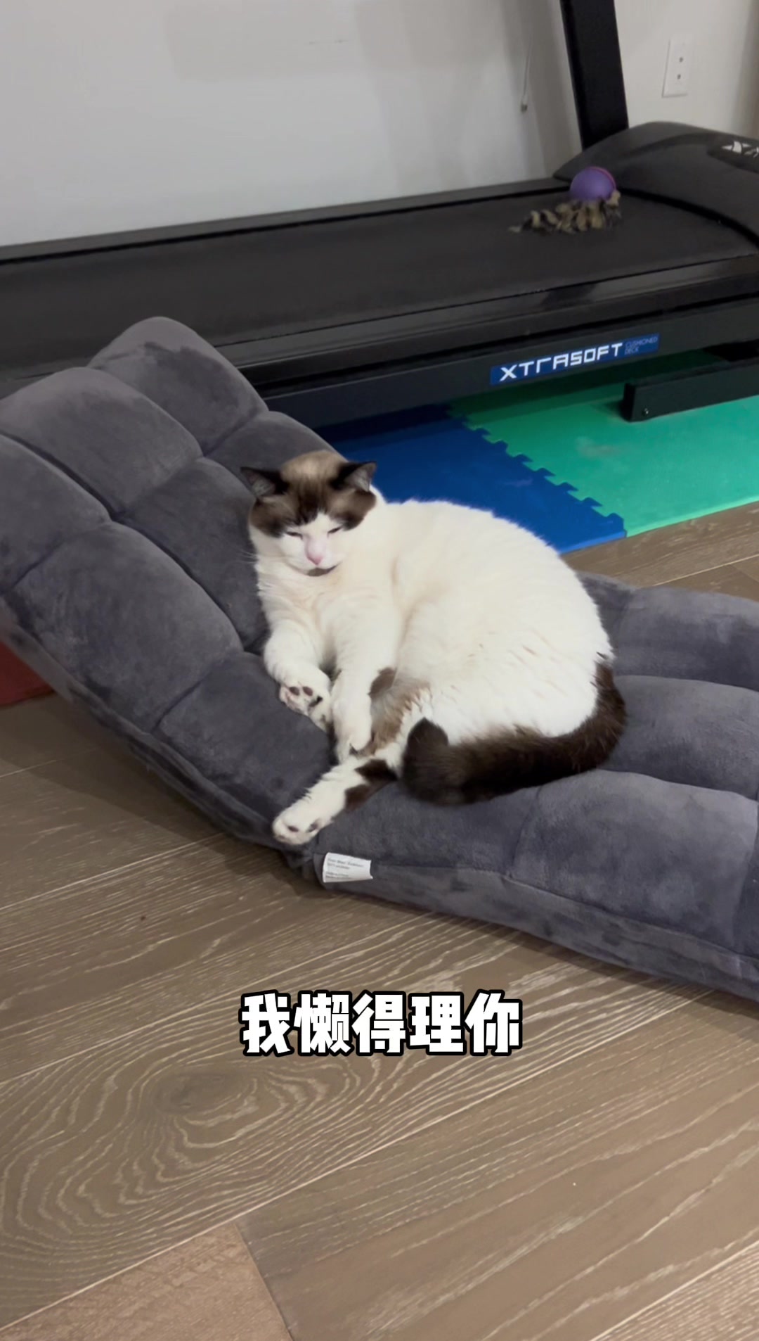 @寿司的儿子是鱼生