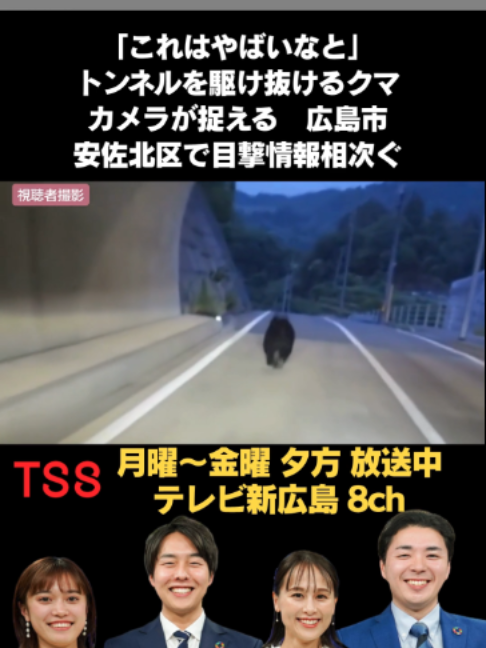 @テレビ新広島公式TikTok