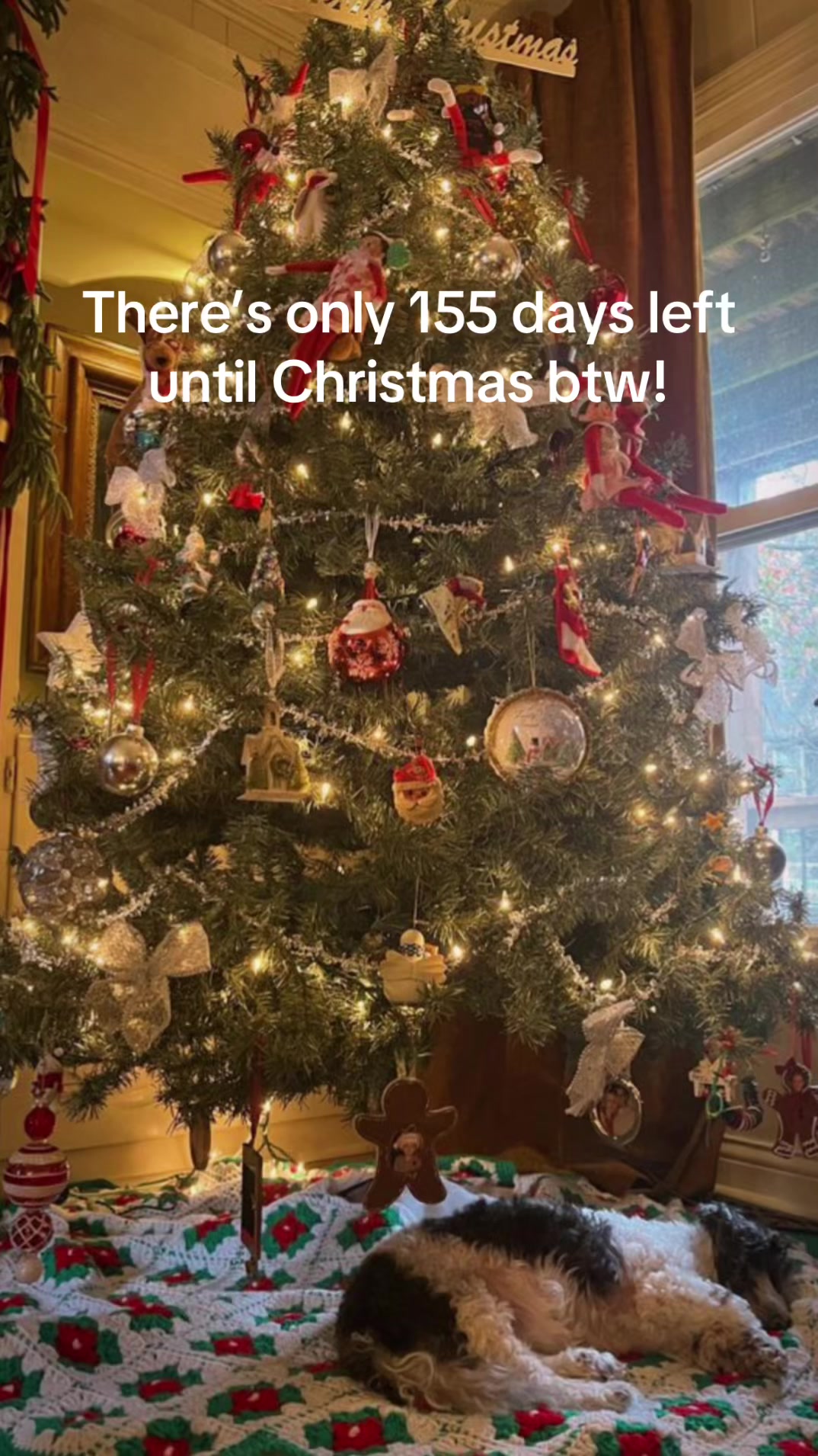 @christmas vibes!