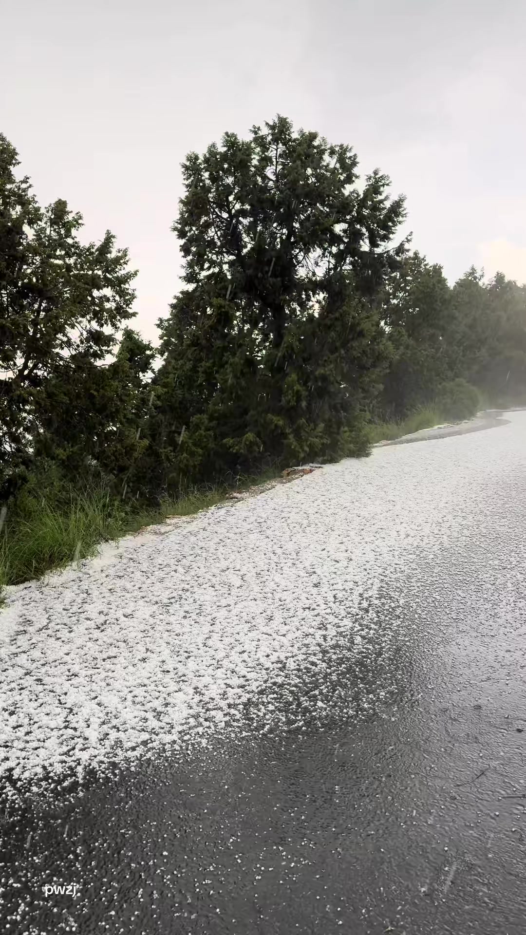 @آبووسآم برق آلَساحل⚡️⛈️