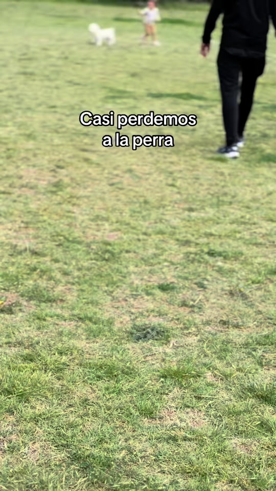 @Kendy Jara