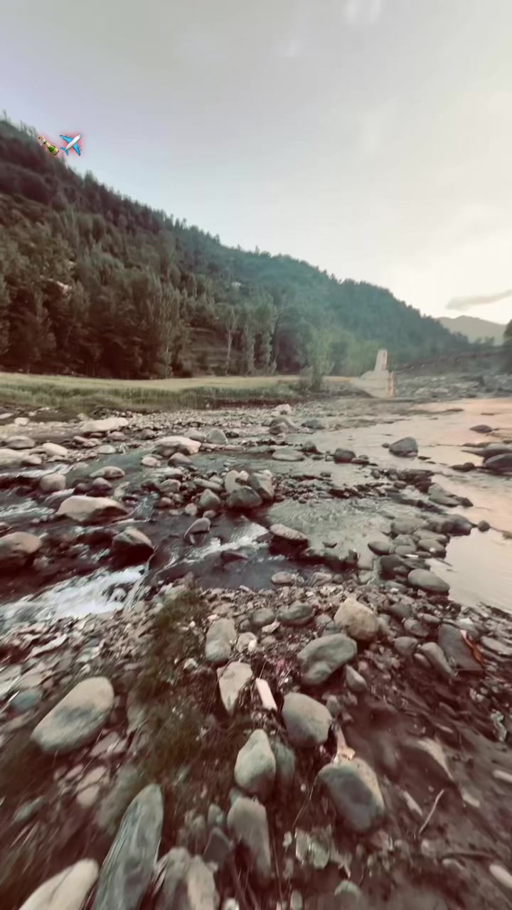 @malakptm1