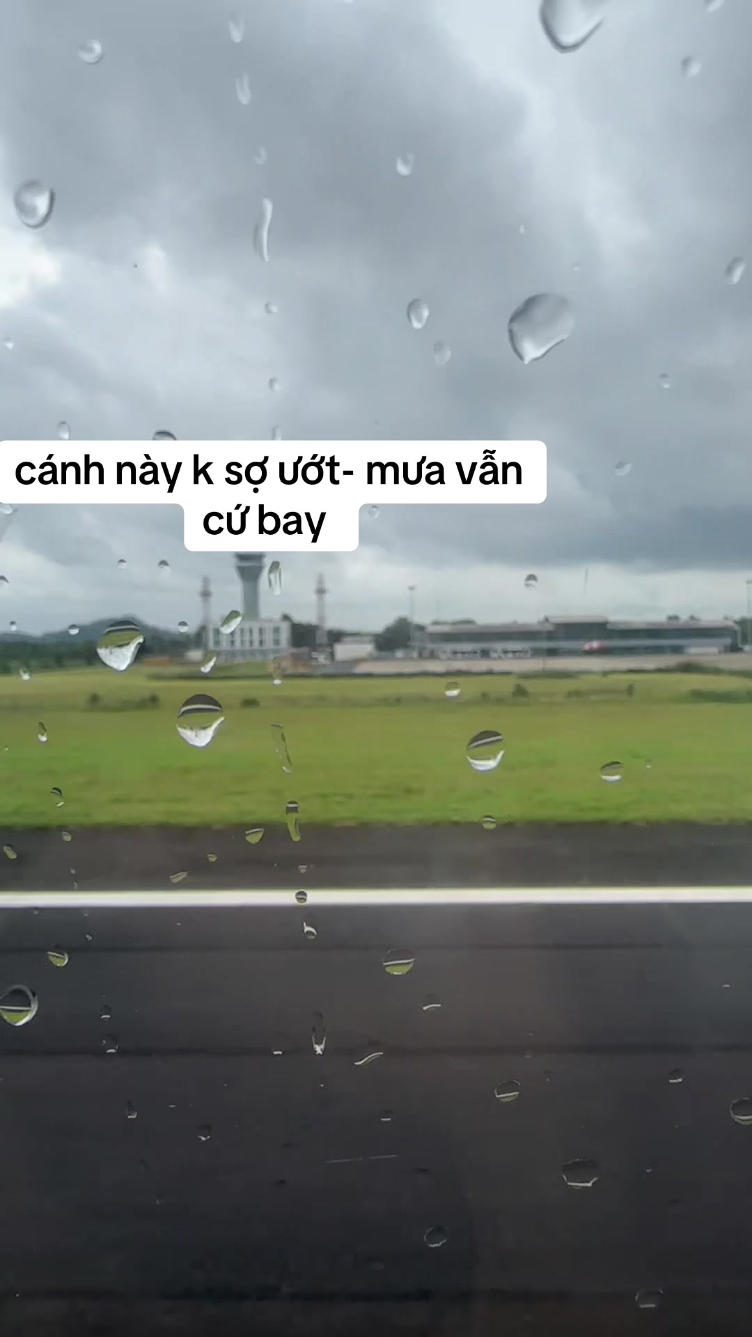 @Trinh-Đặc Sản Đắk Lắk
