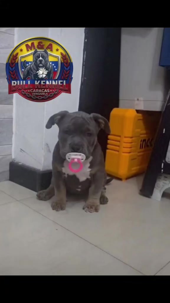 @mia_bulls❤️