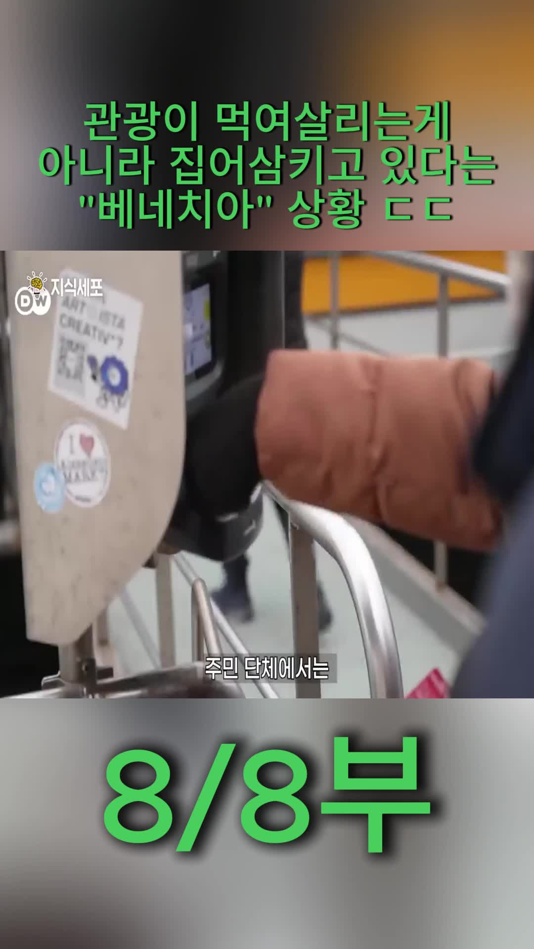 @지식세포