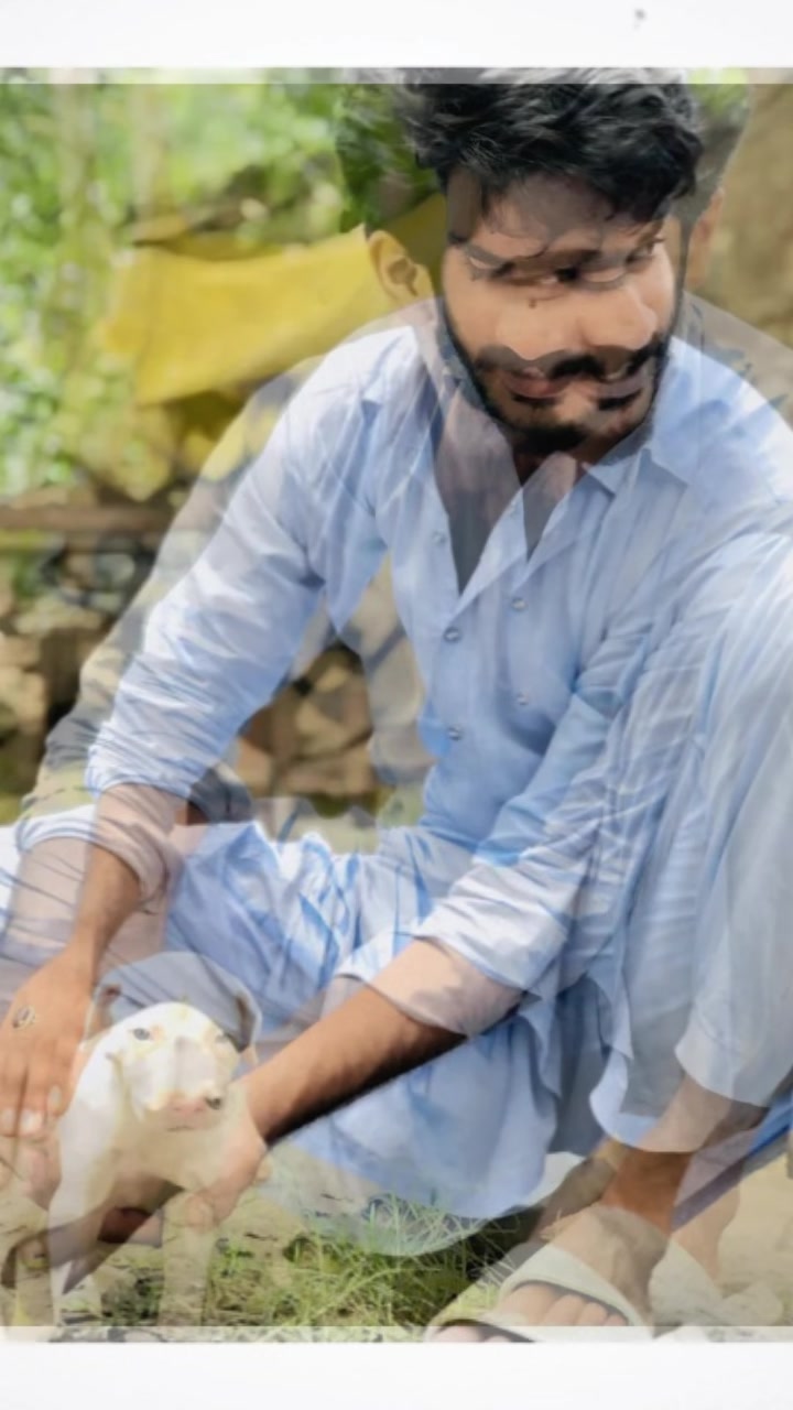 @حمزہ حنیف میٔو(Murshad )