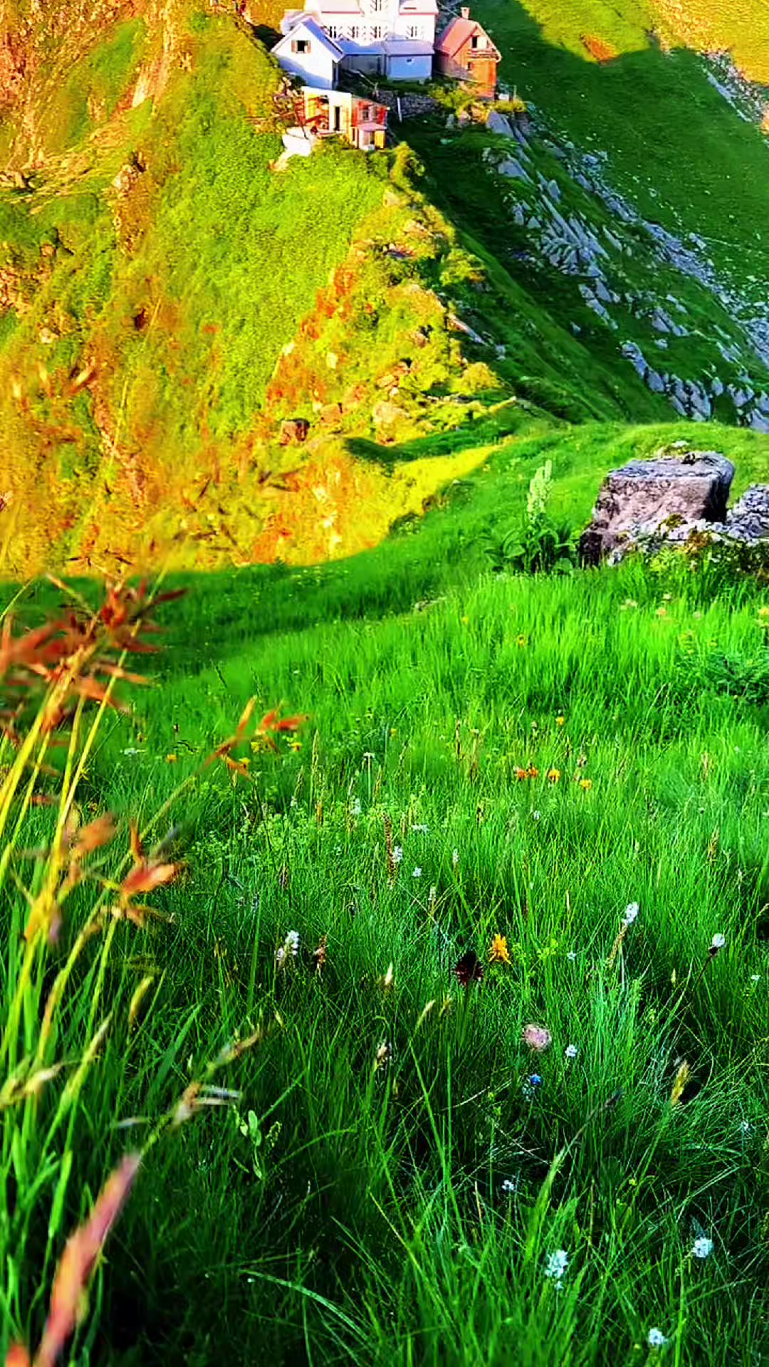 @Beautiful Earth