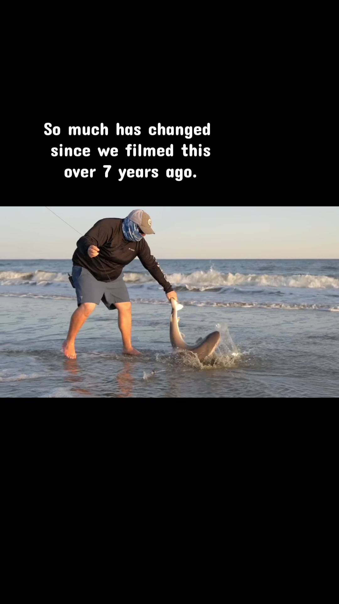 @cscsharks