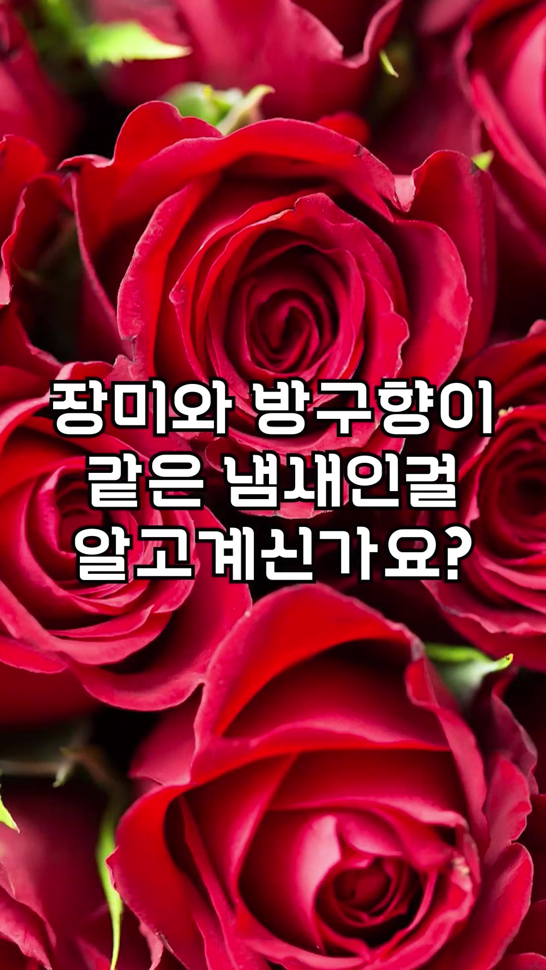 @꿀잼교실