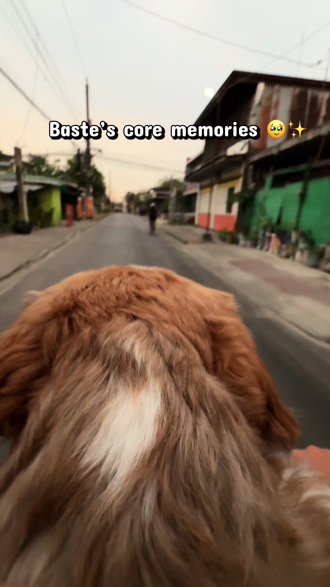 @Baste