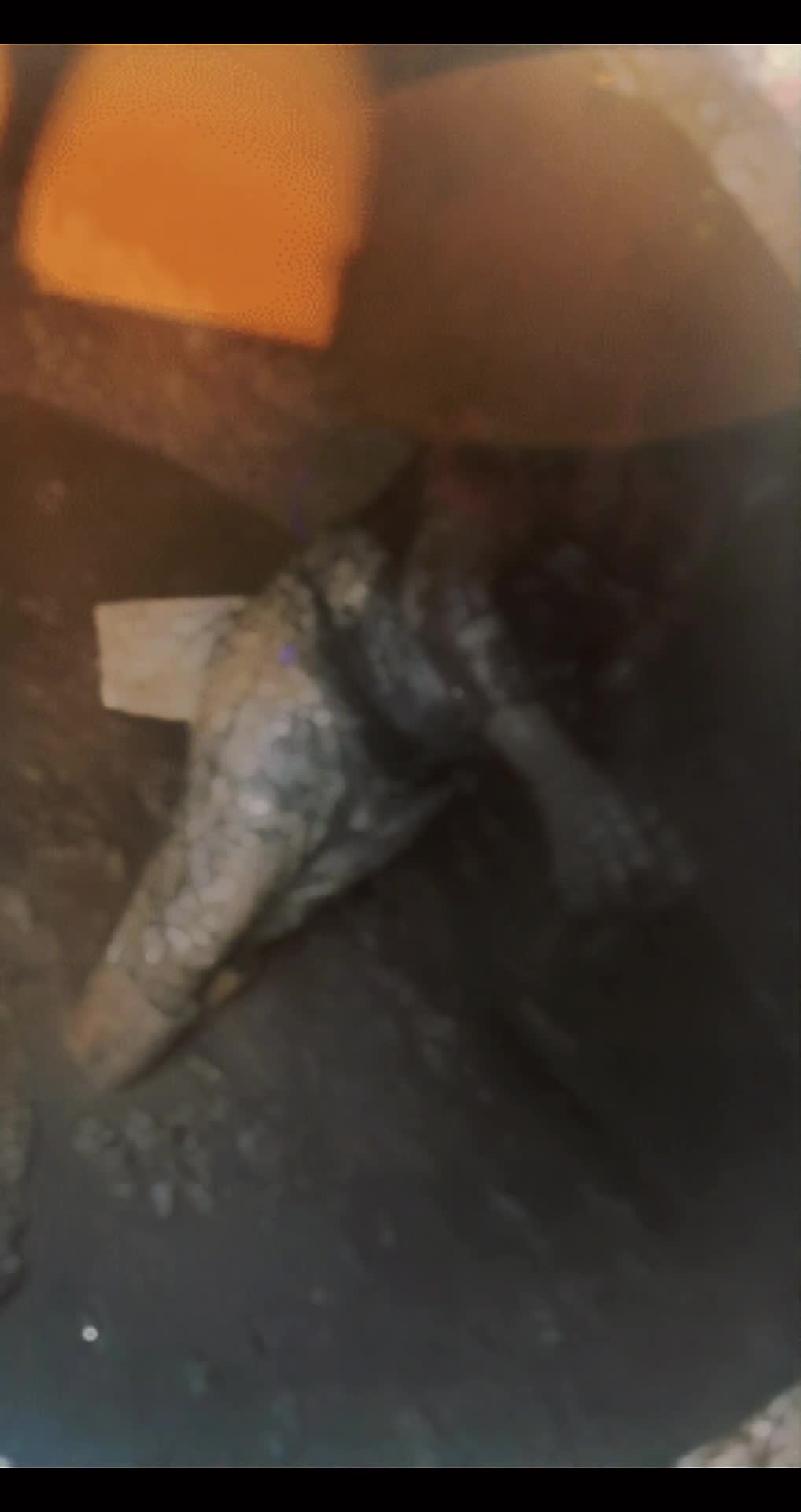 @â
âŻđđžđđ_đđœđœđâđđžđ_8âŻâ