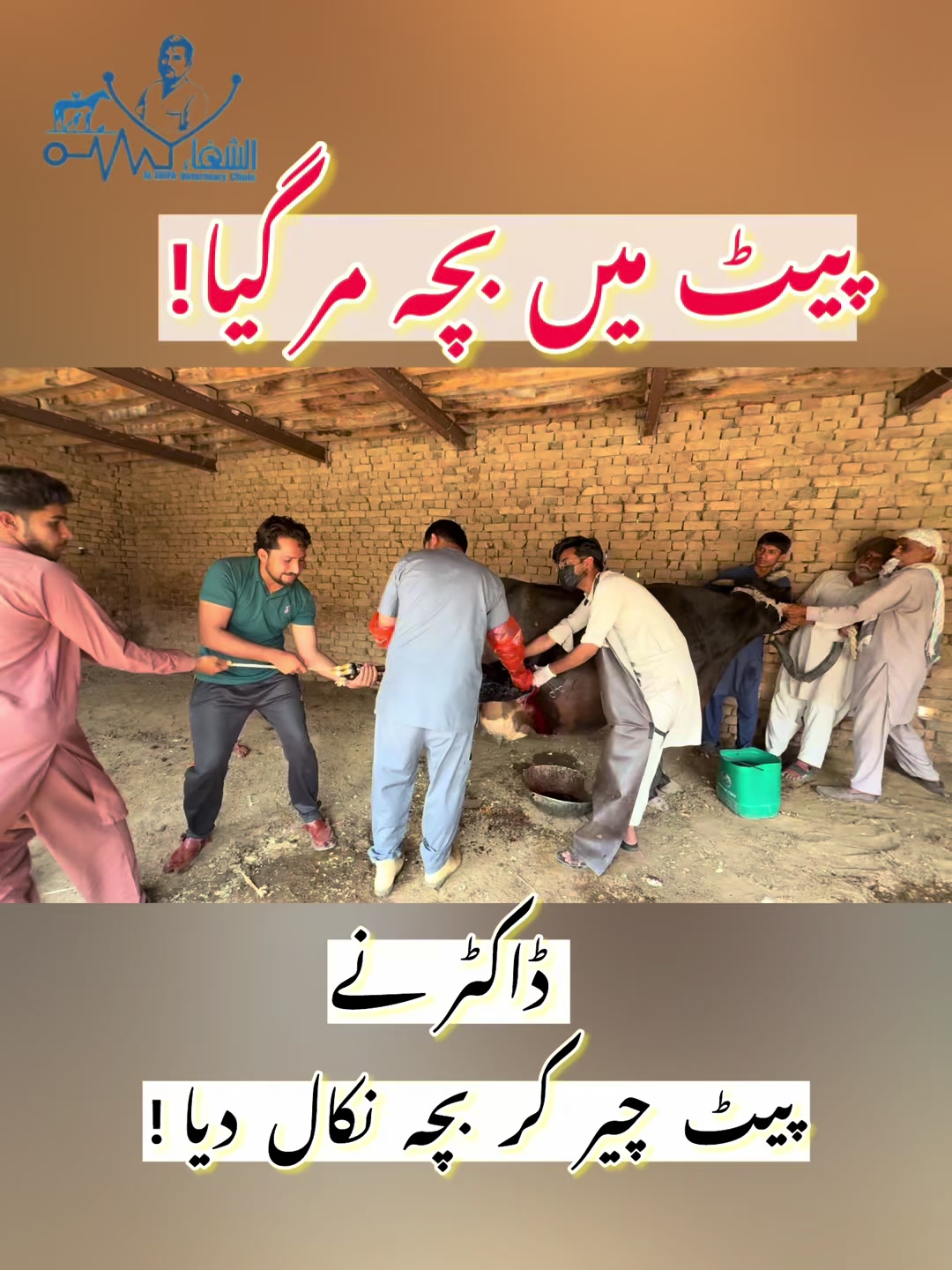 @Dr.Mohsin