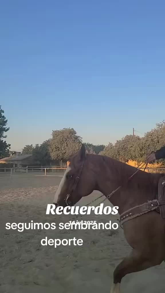 @Atzy Zamudio