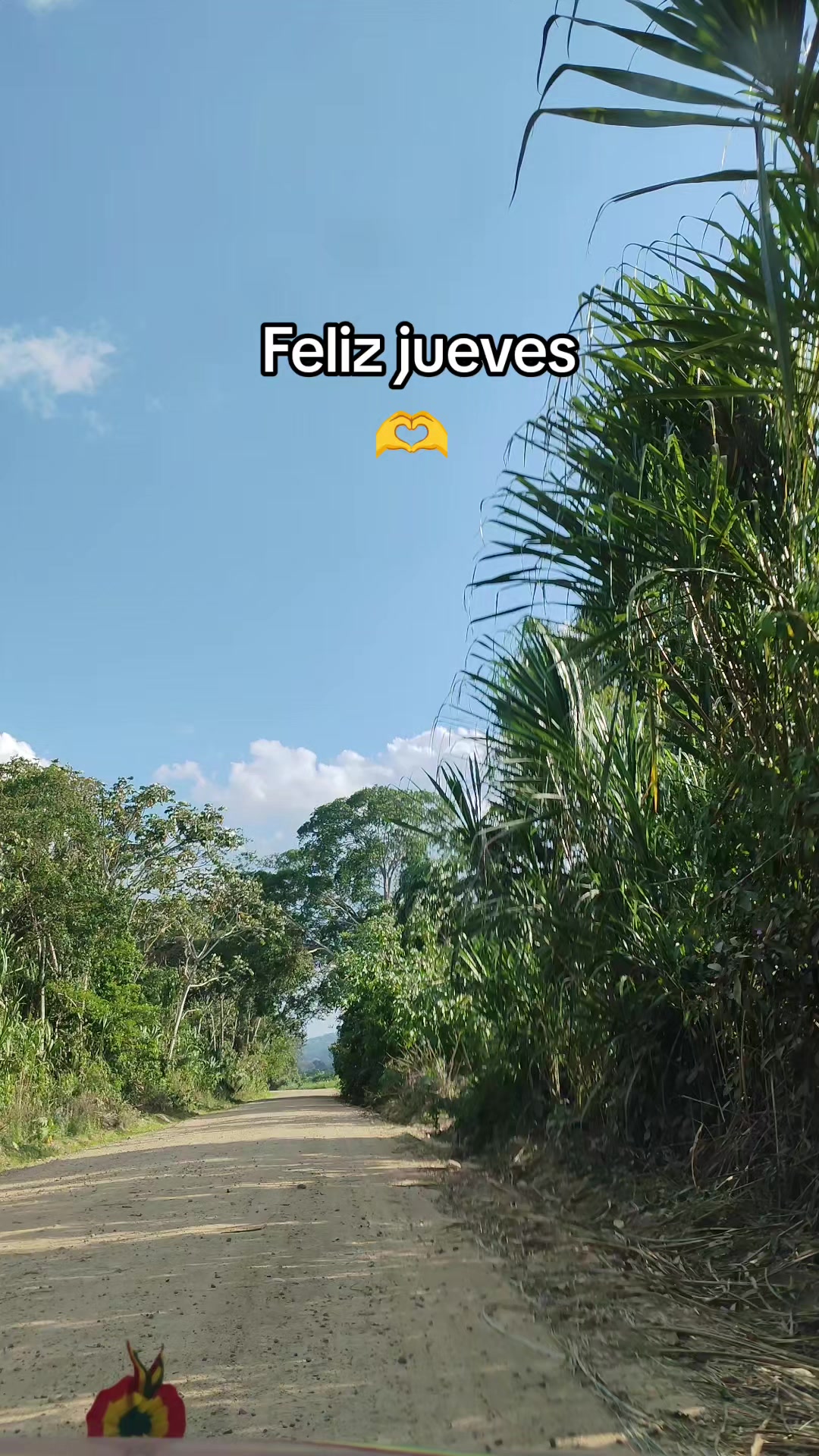 @mipescadorita🇧🇴🐟🤠🇲🇽