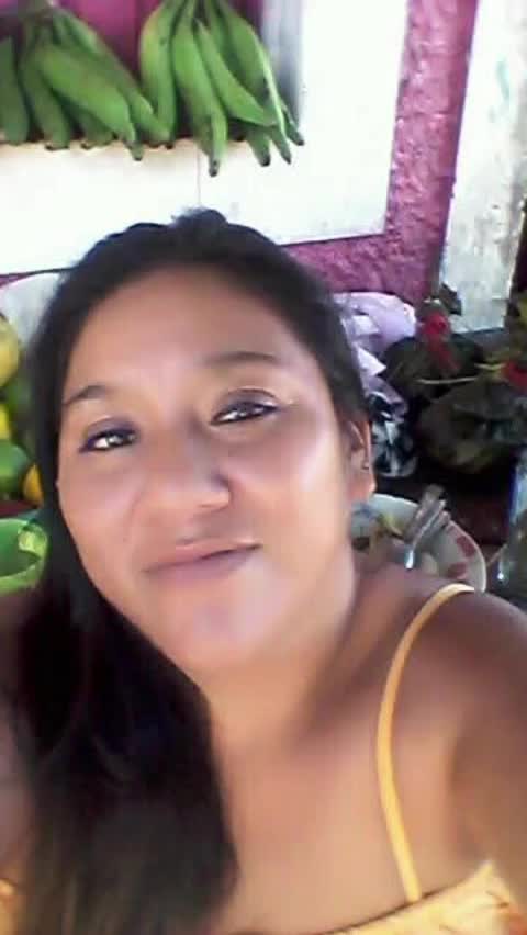 @felix el gato2